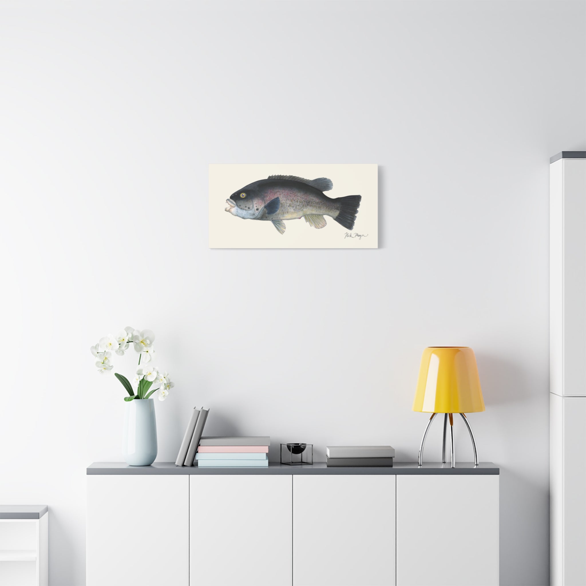Tautog Canvas Print