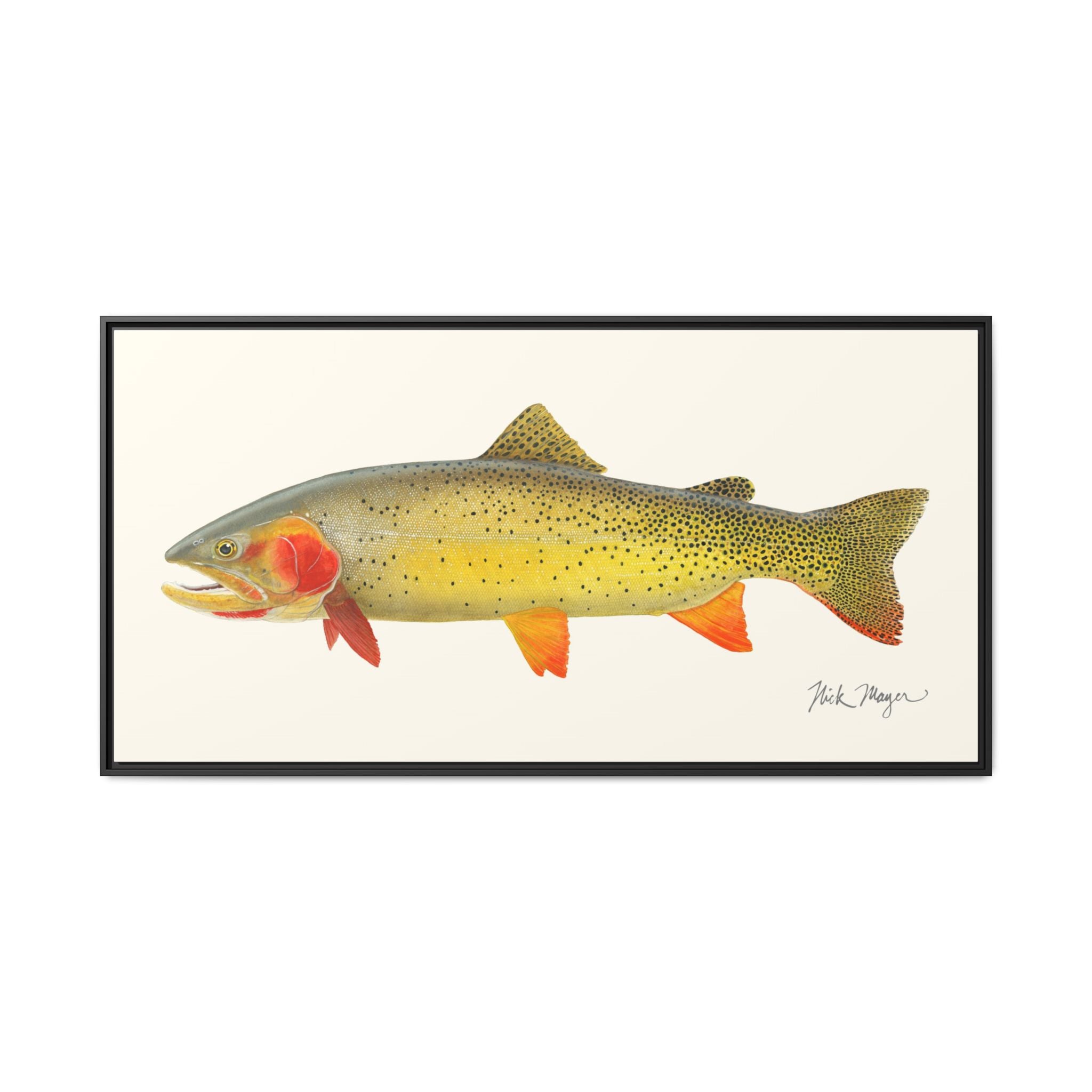 Cutthroat Trout I Framed Canvas Print Printify