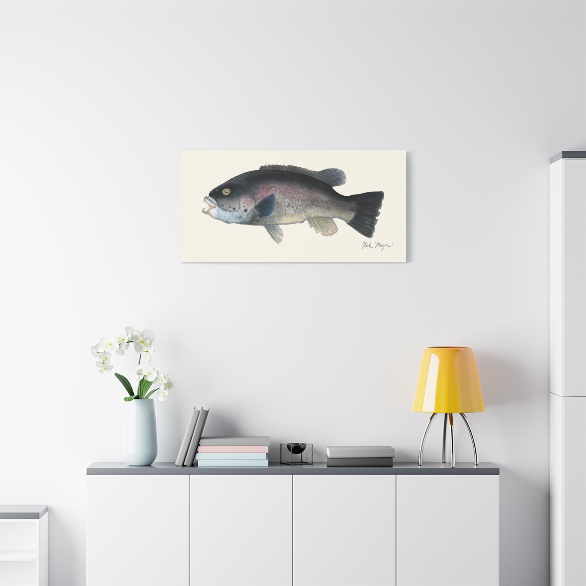 Tautog Canvas Print