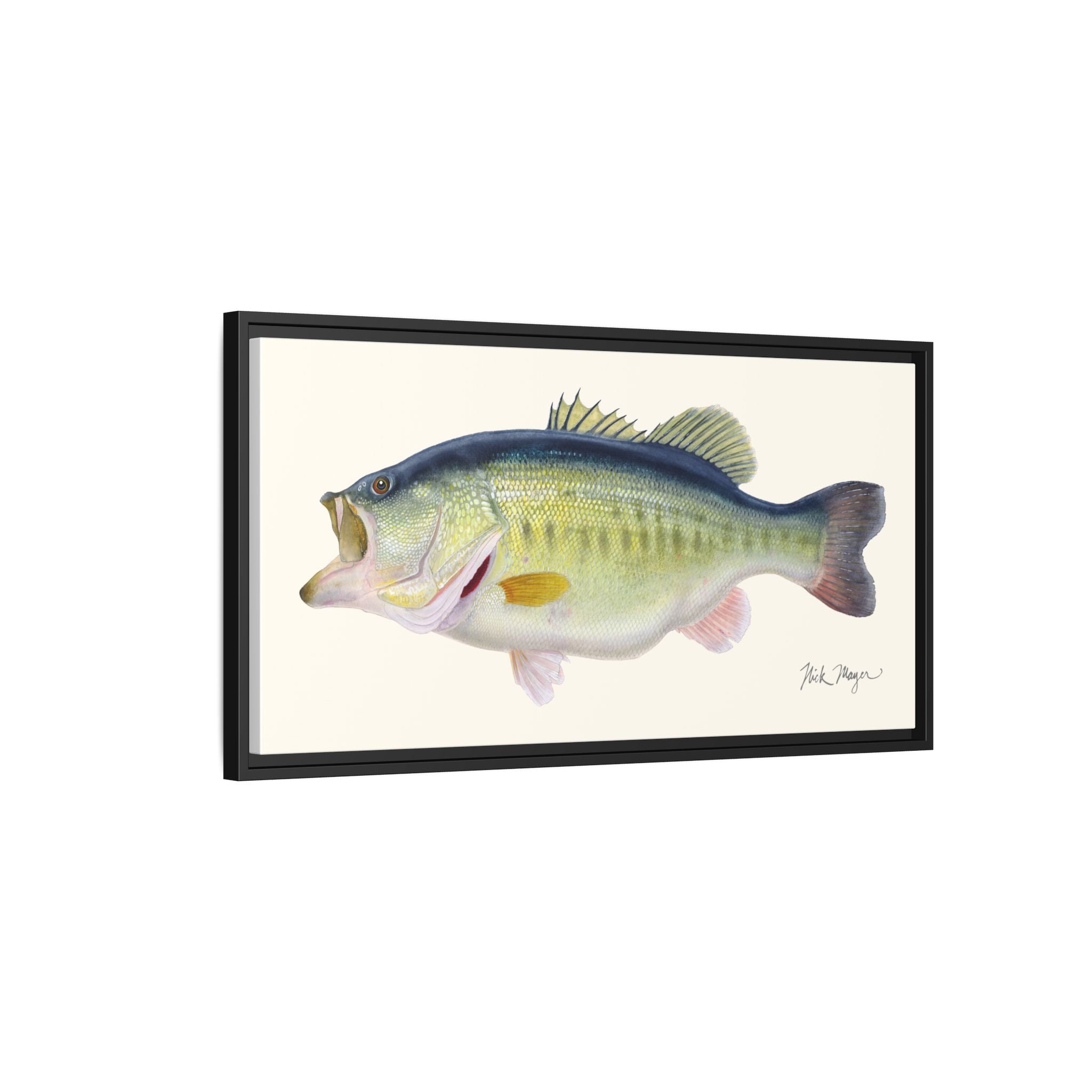 Largemouth Bass 3 Framed Canvas Print