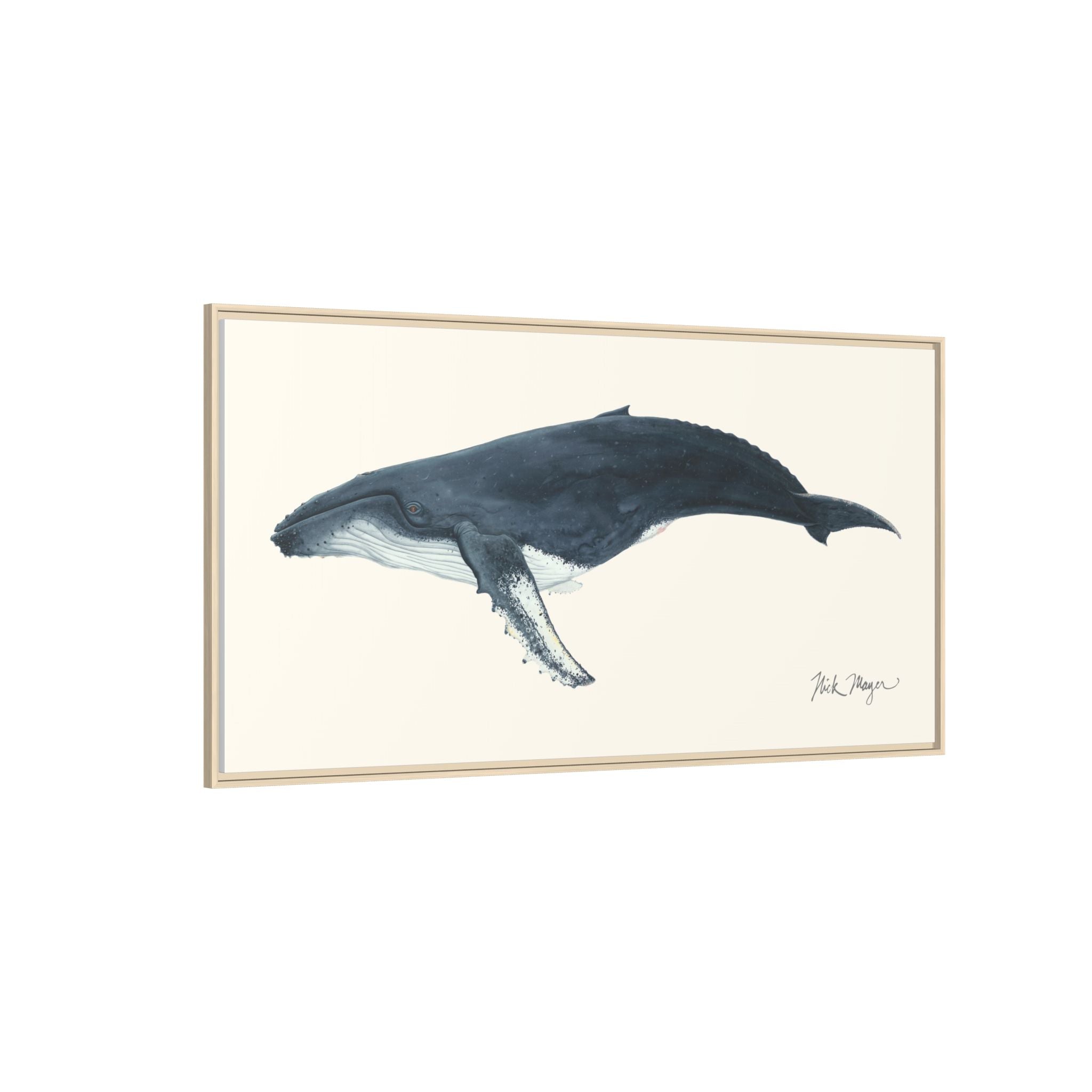 Humpback Whale Framed Canvas Print Printify