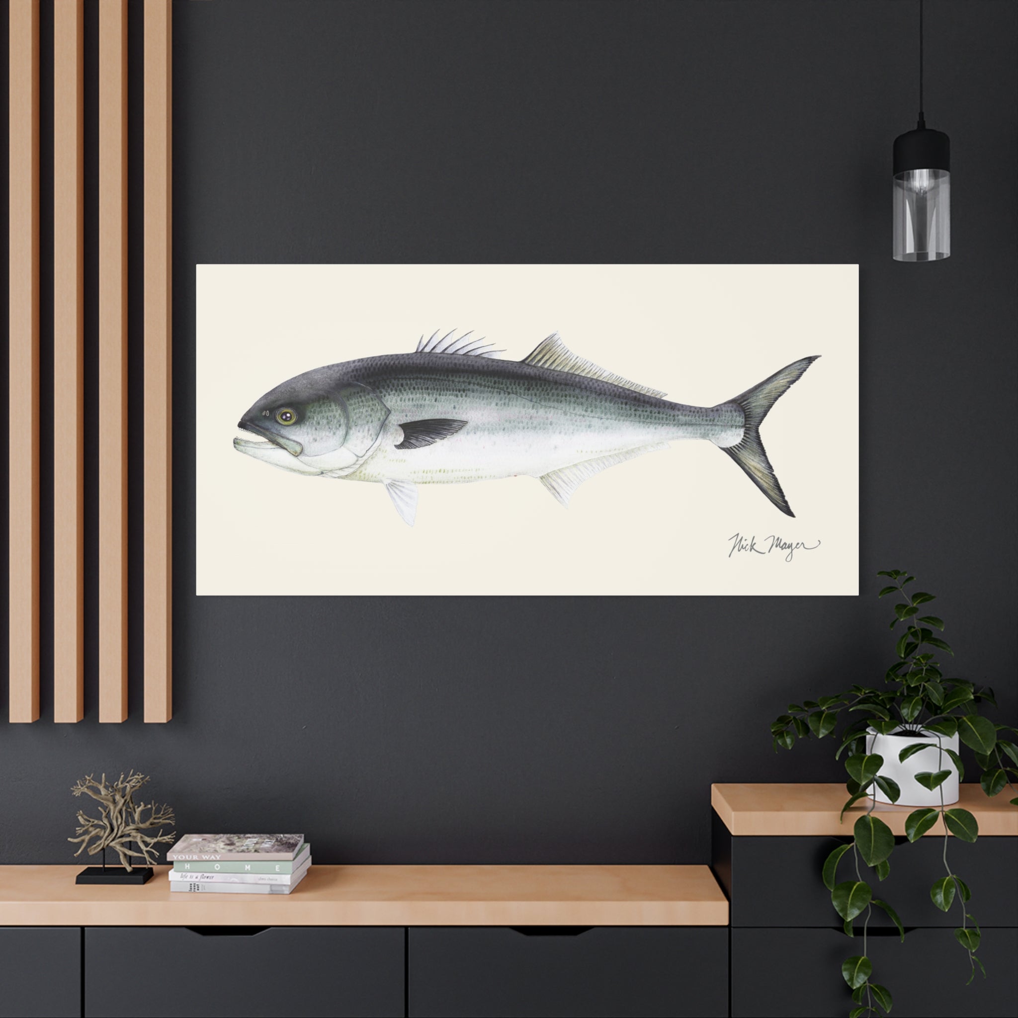 Bluefish Canvas Print