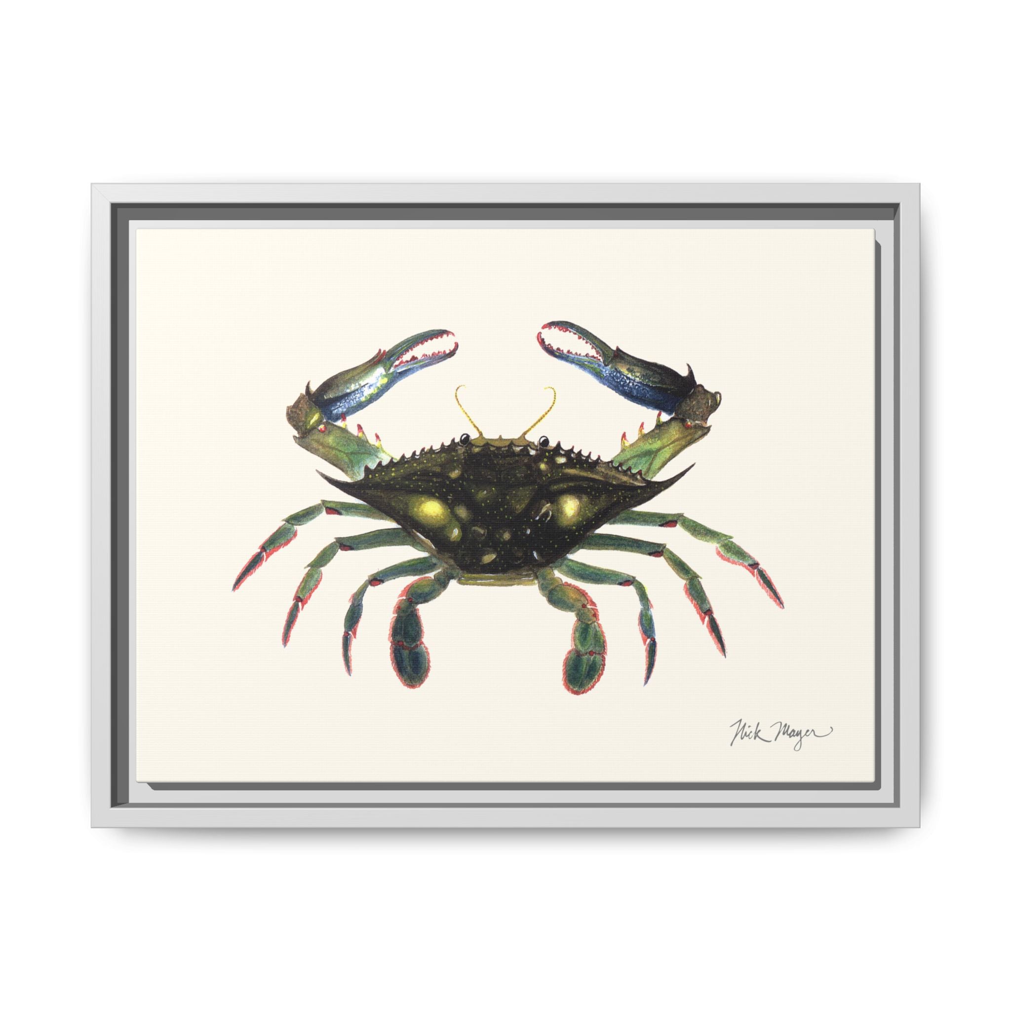 Blue Crab, Claws in Framed Canvas Print Printify