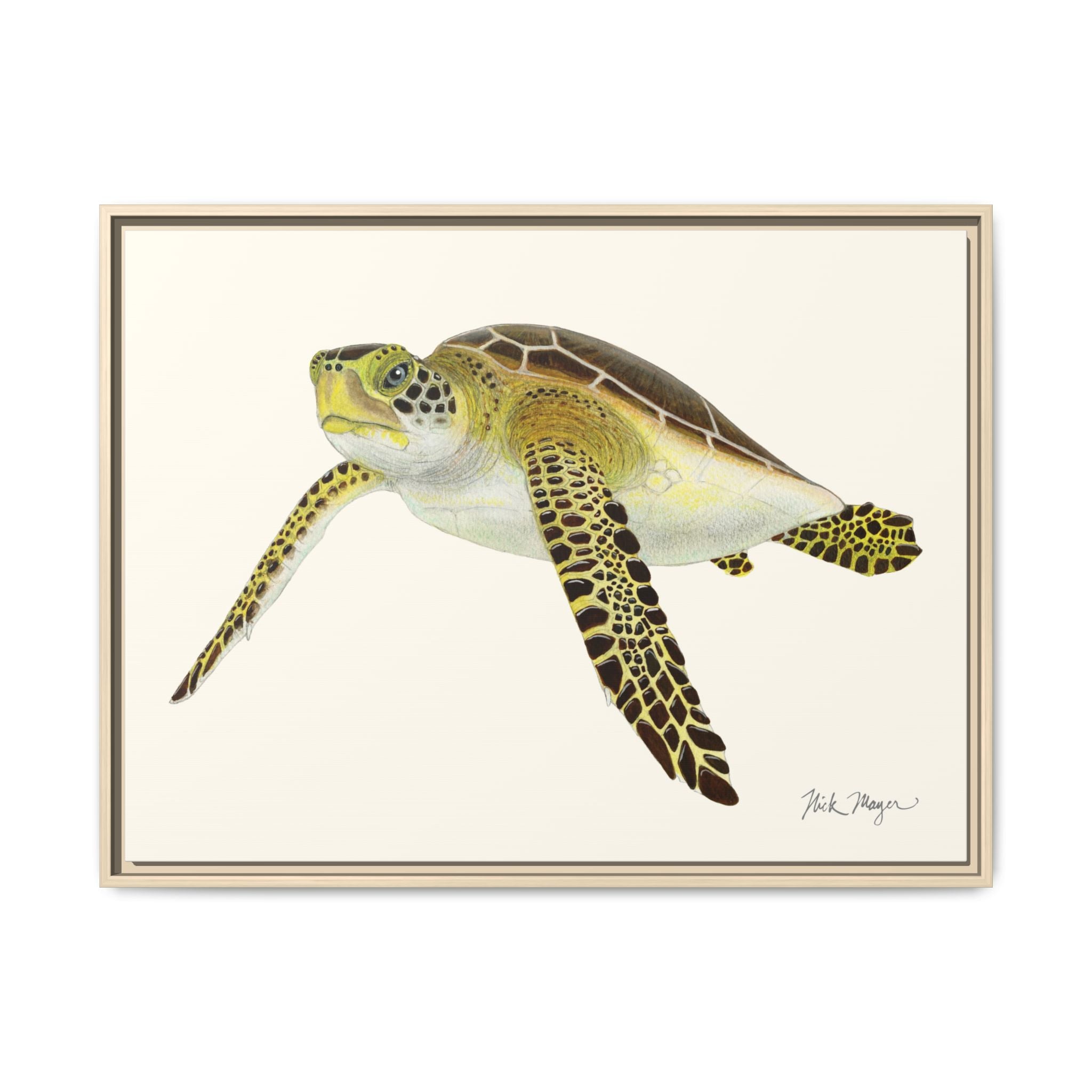 Green Sea Turtle III Framed Canvas Print Printify