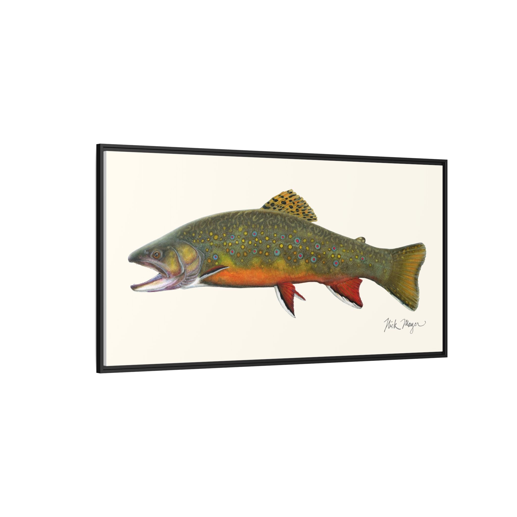 Beaver Pond Brook Trout Framed Canvas Print Printify
