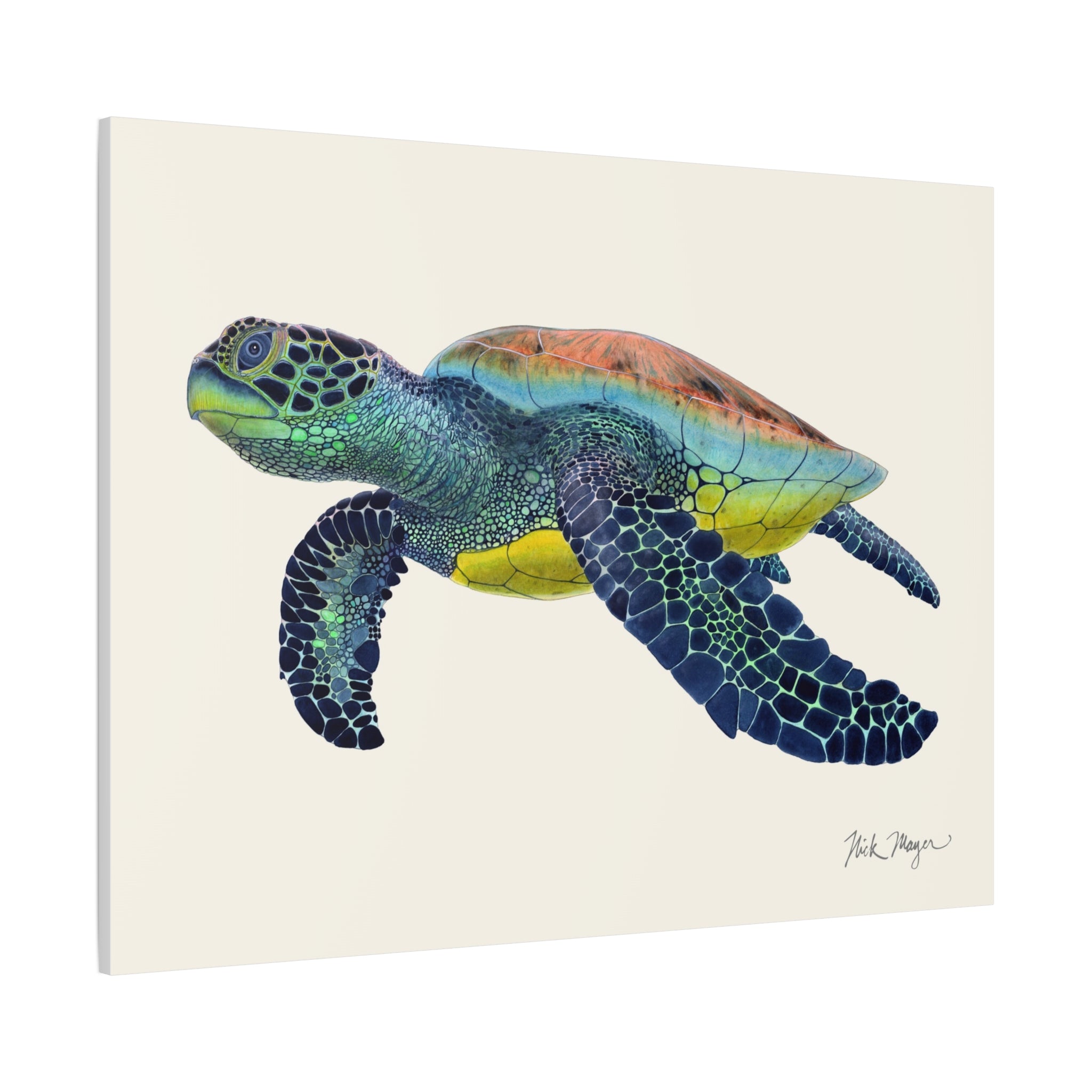 Green Sea Turtle II Canvas Print