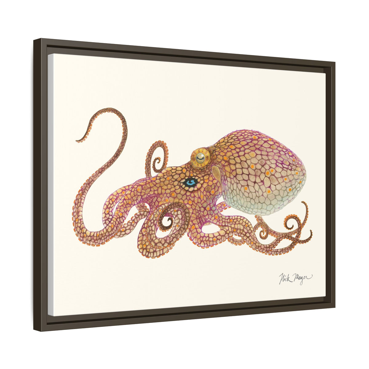 Two Spot Octopus Framed Canvas Print Printify