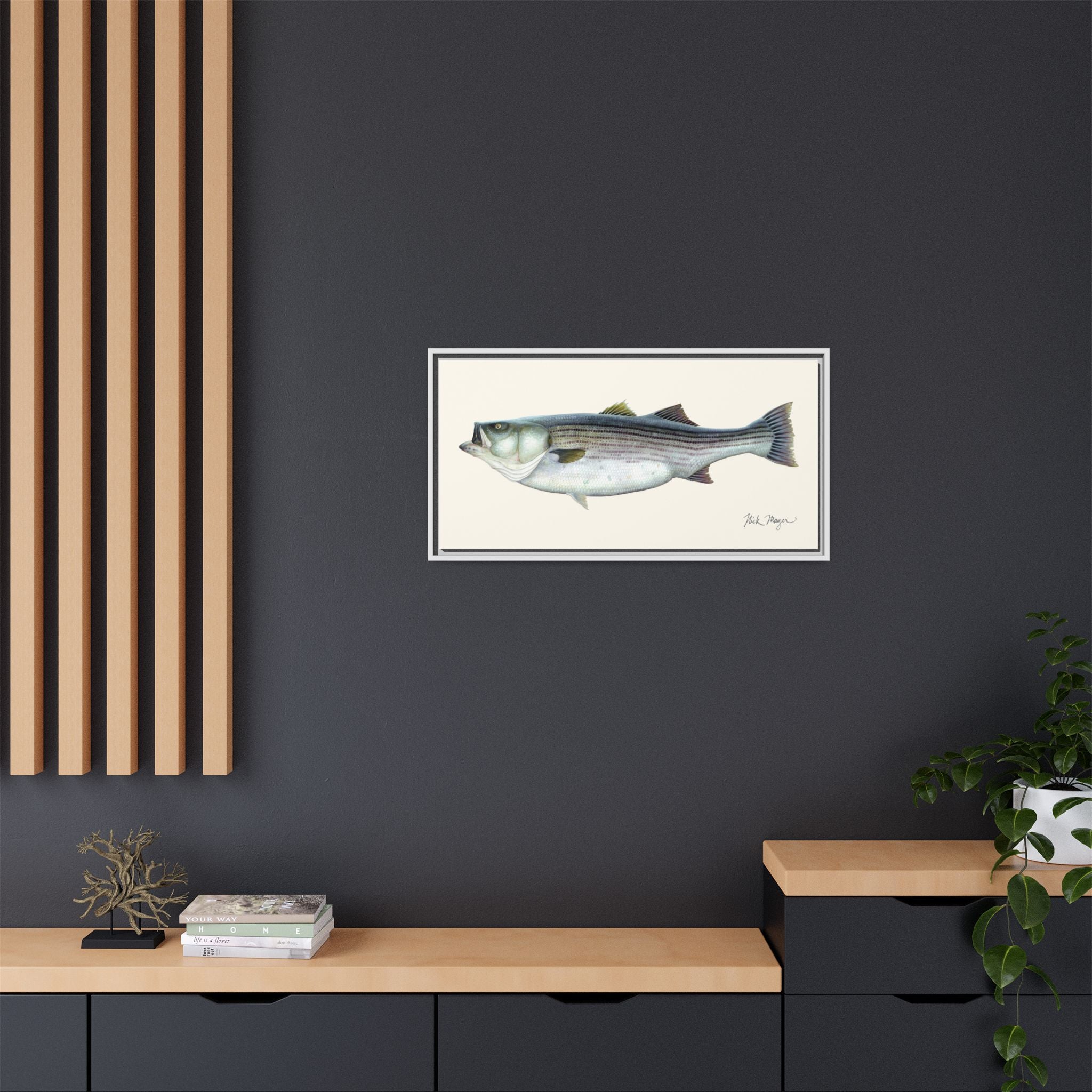 Striped Bass, 60 lbs Framed Canvas Print Printify