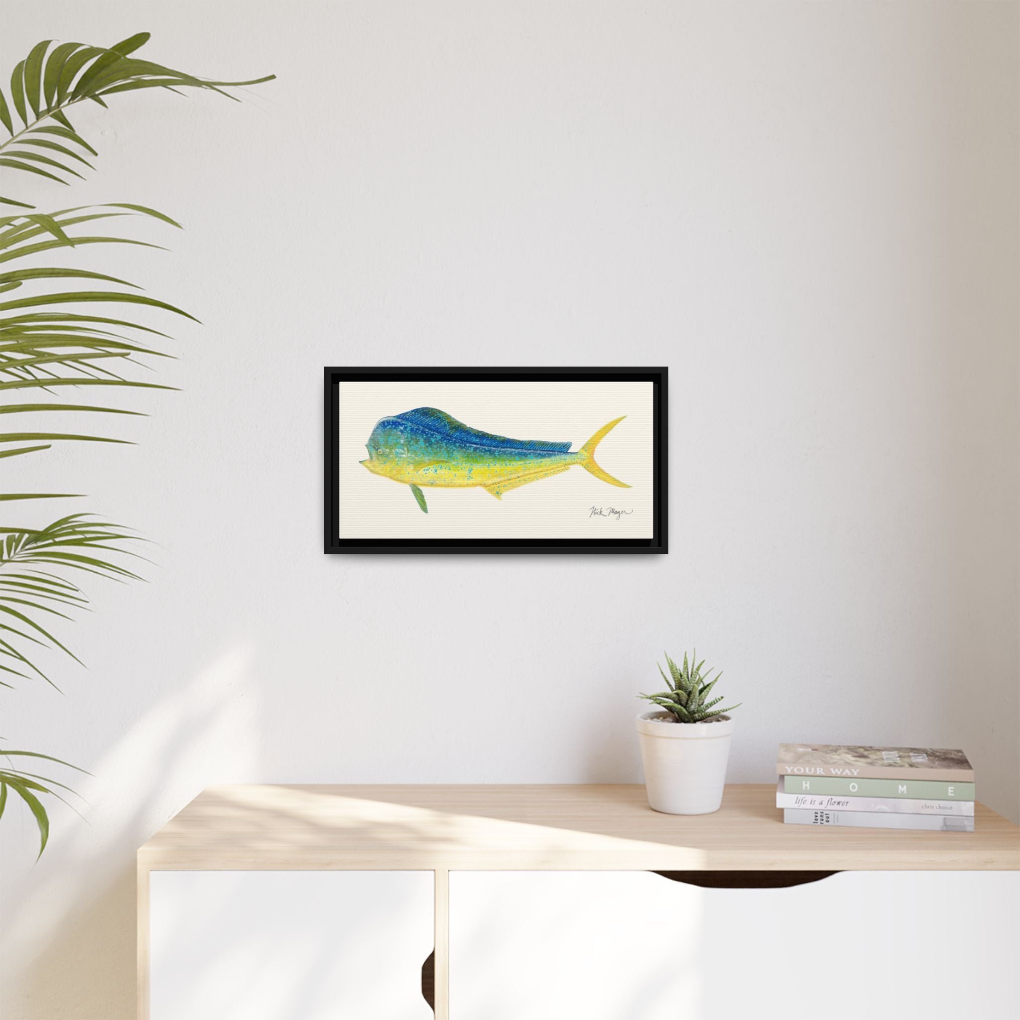 Bull Mahi Mahi Framed Canvas Print