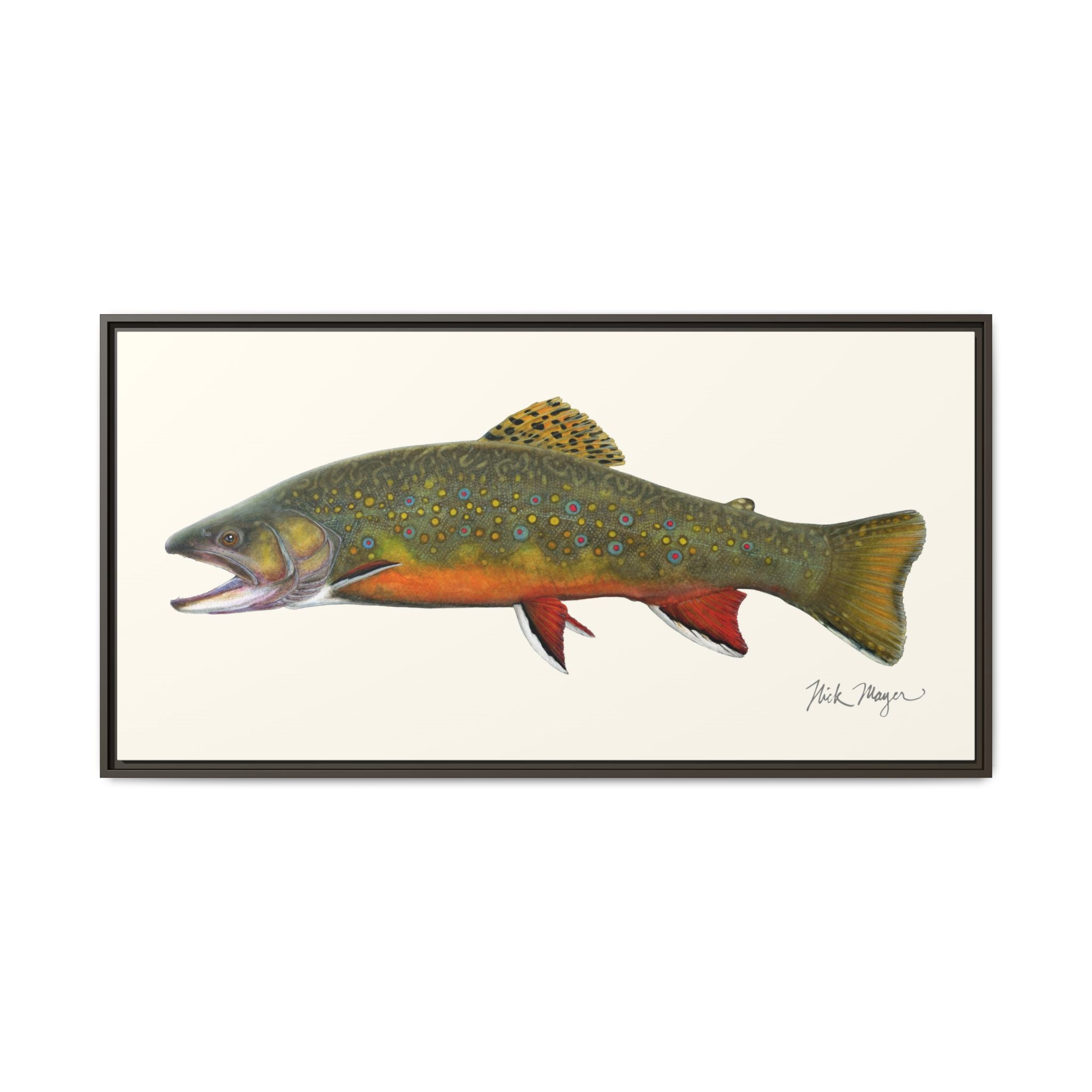 Beaver Pond Brook Trout Framed Canvas Print Printify