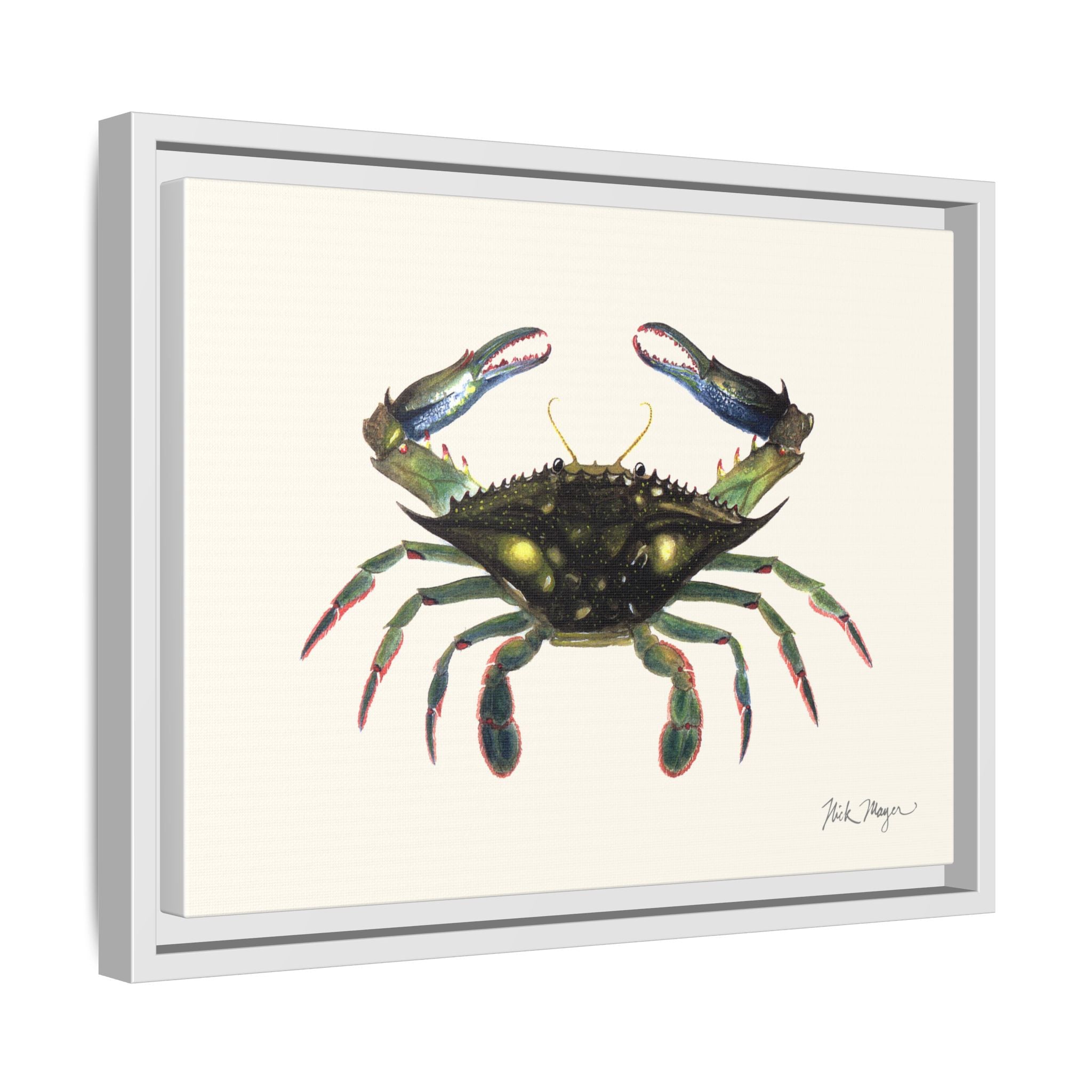 Blue Crab, Claws in Framed Canvas Print Printify