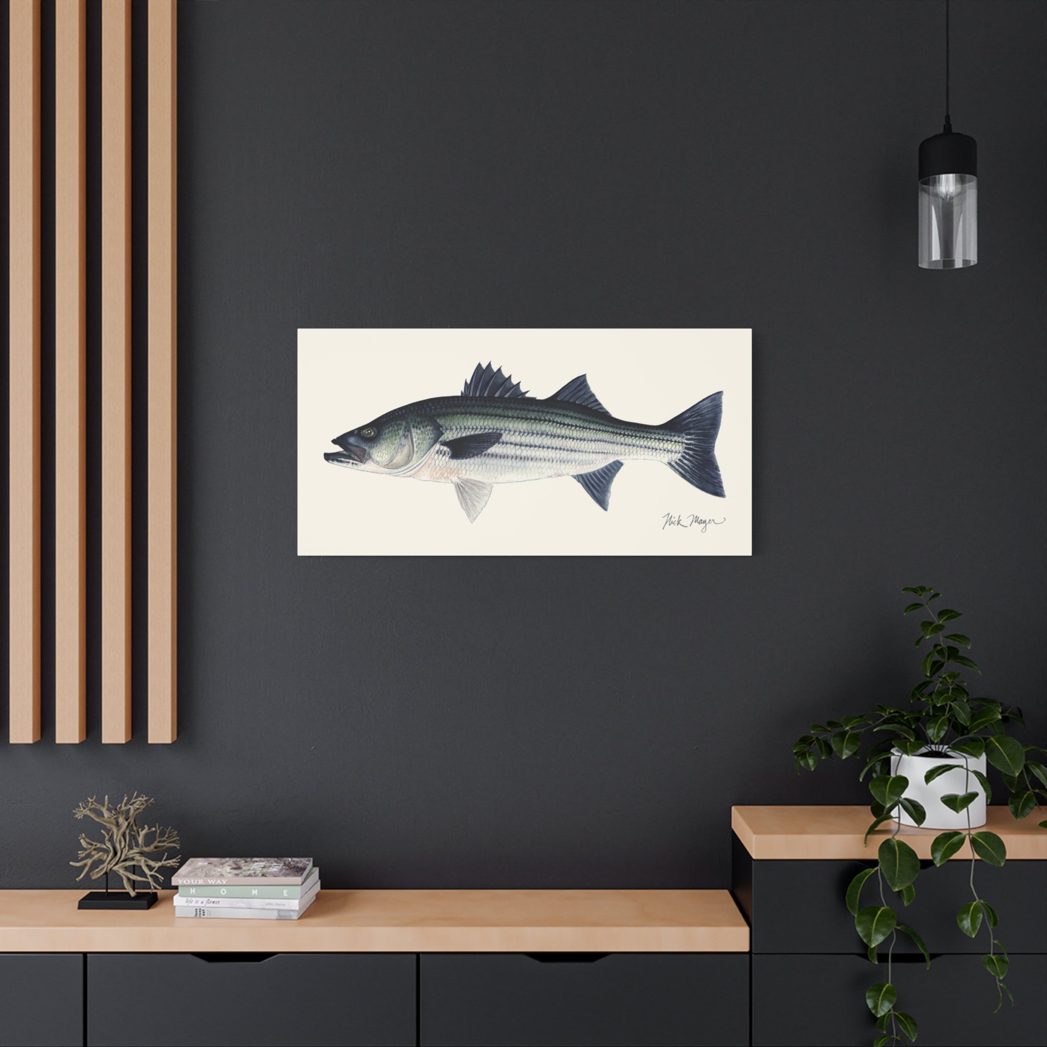 Schoolie Striped Bass I Canvas Print