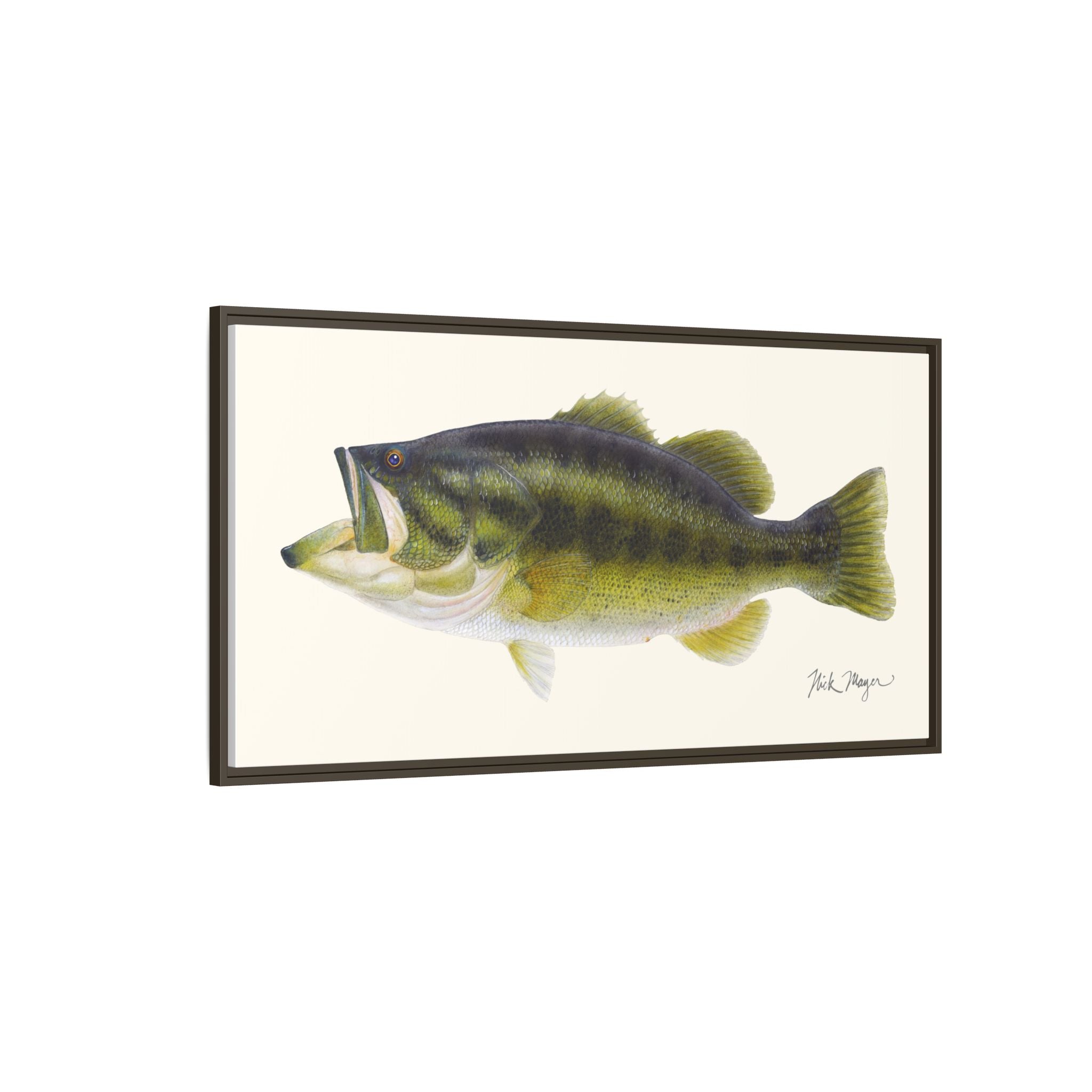 Largemouth Bass I Framed Canvas Print Printify