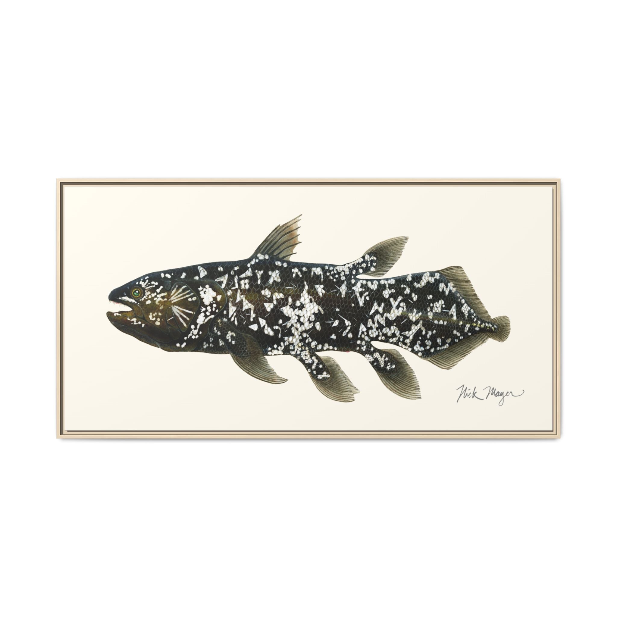 Coelacanth Framed Canvas Print Printify