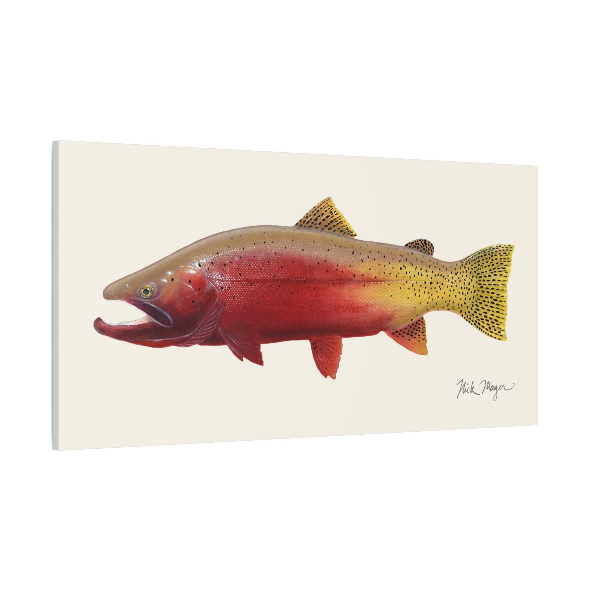 Cutthroat Trout II Canvas Print Printify