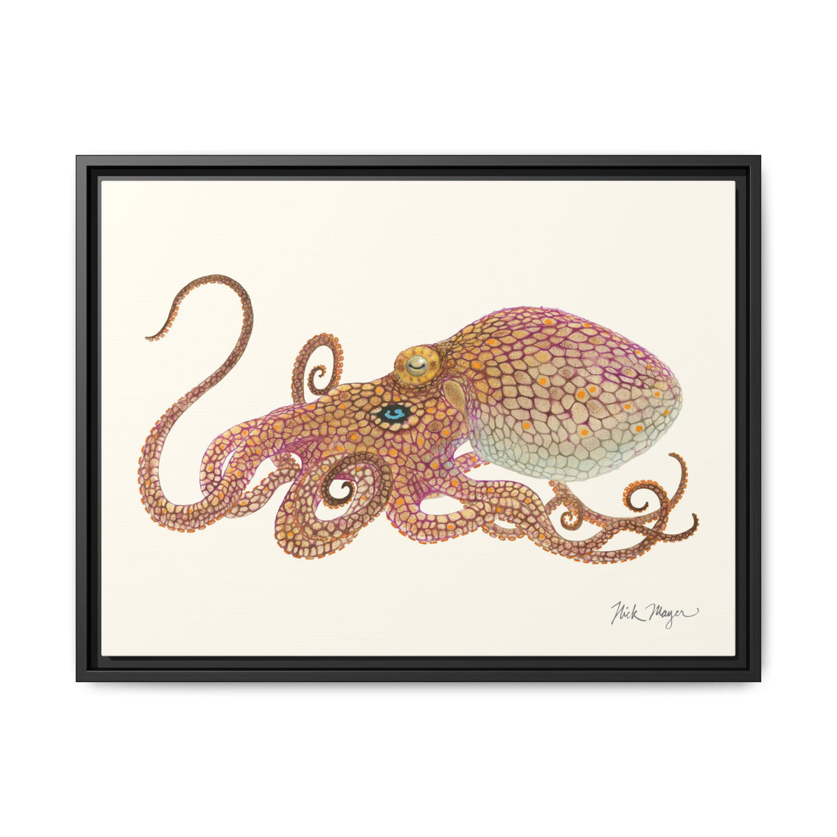 Two Spot Octopus Framed Canvas Print Printify