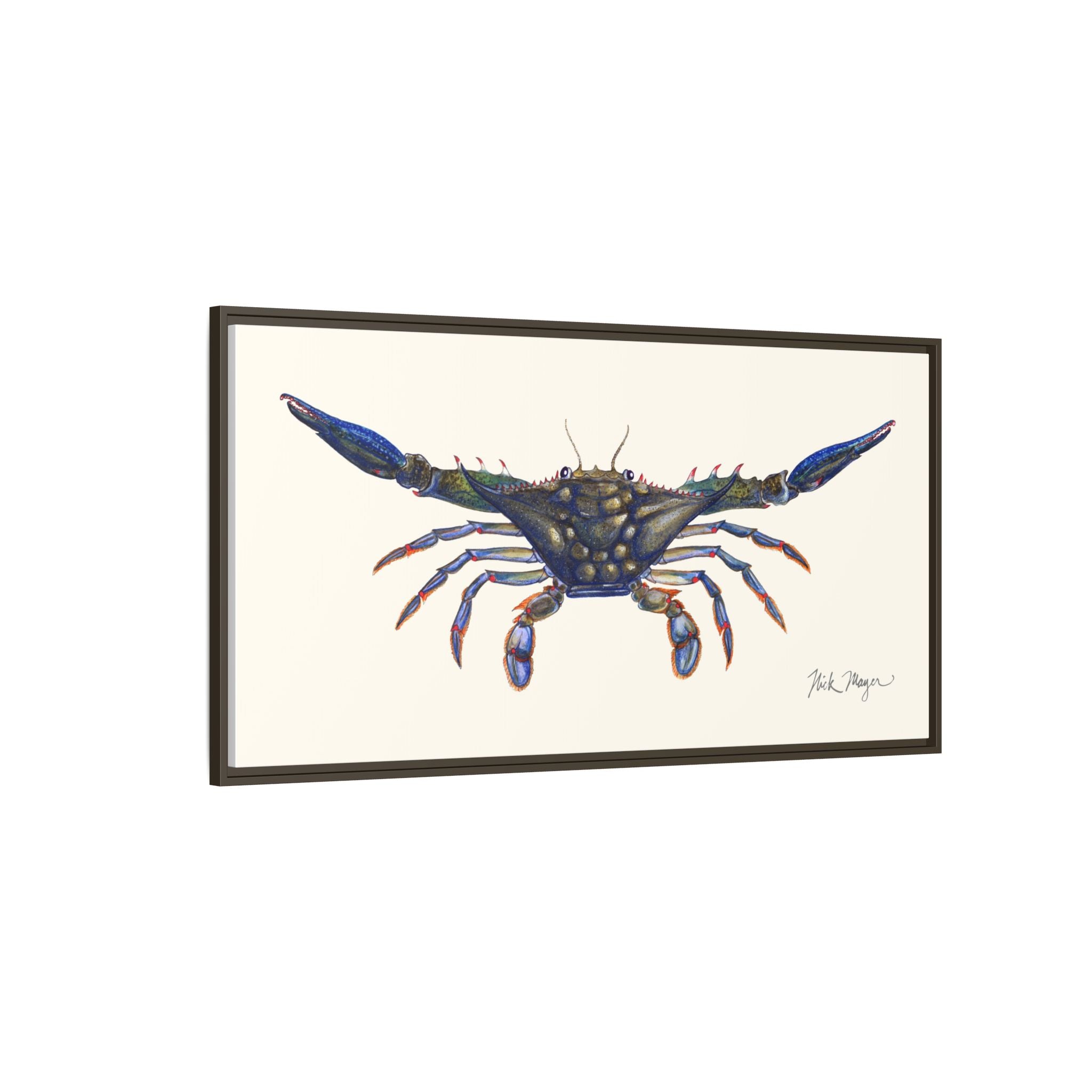 Blue Crab, Claws Out Framed Canvas Print Printify
