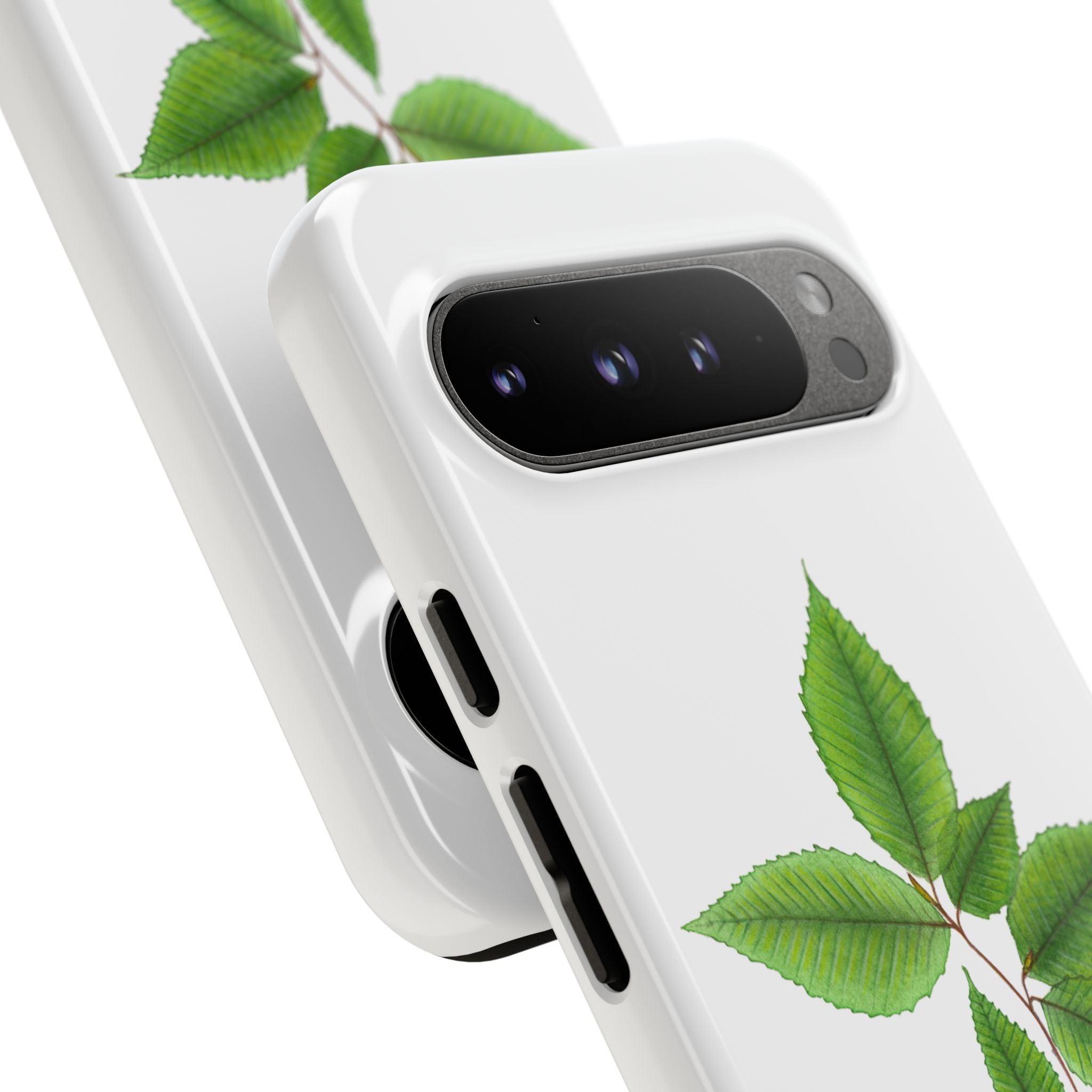 American Beech Phone Case (Samsung)