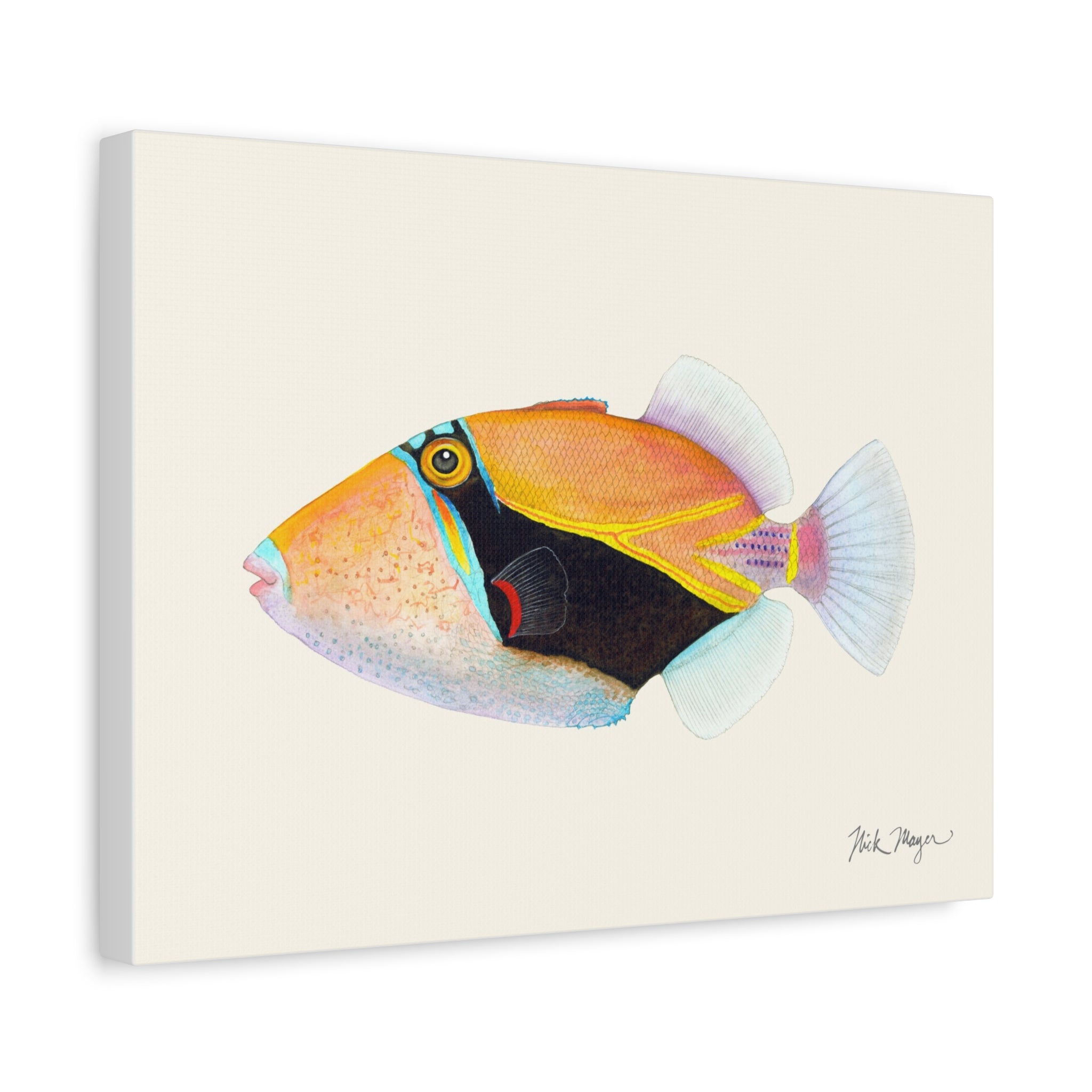 Humuhumunukunukuapua'a Canvas Print