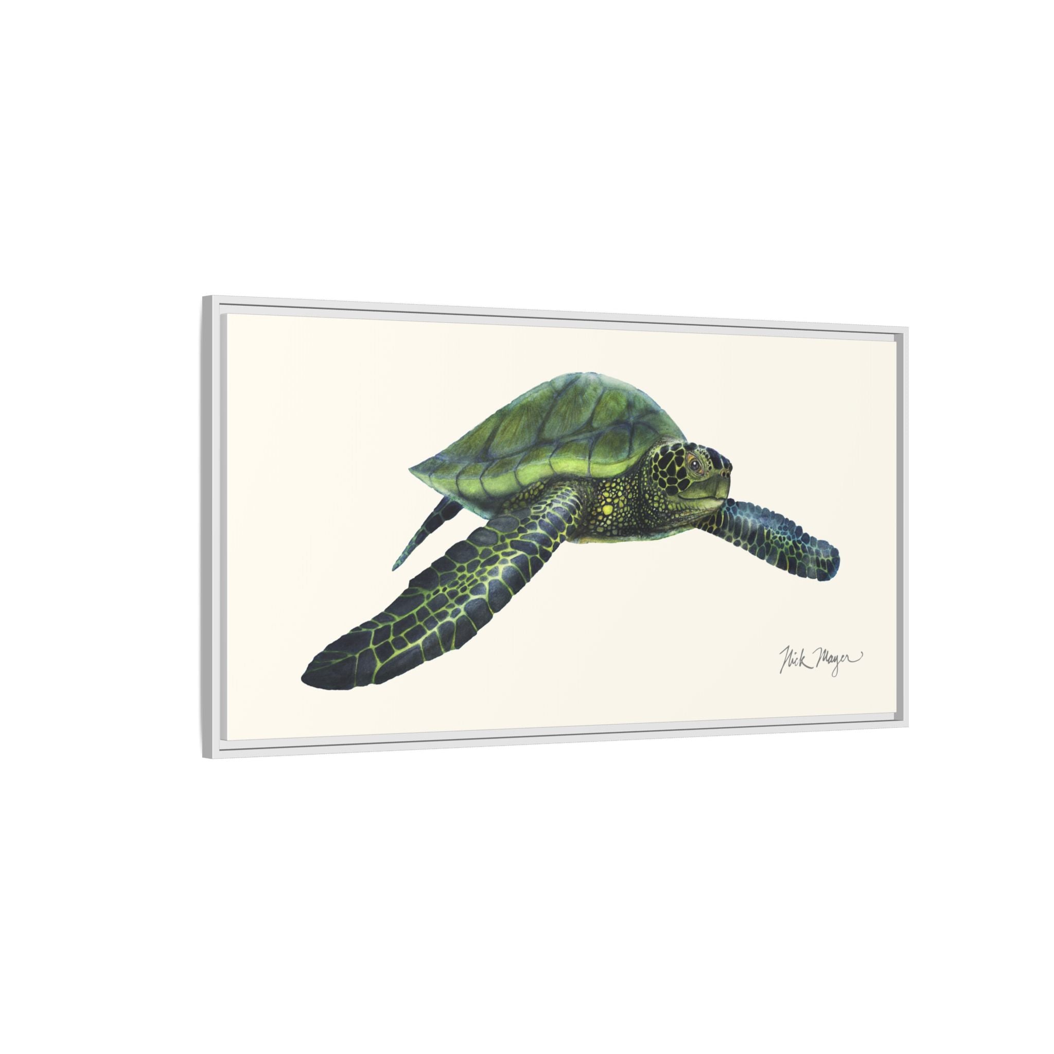 Green Sea Turtle I Framed Canvas Print Printify