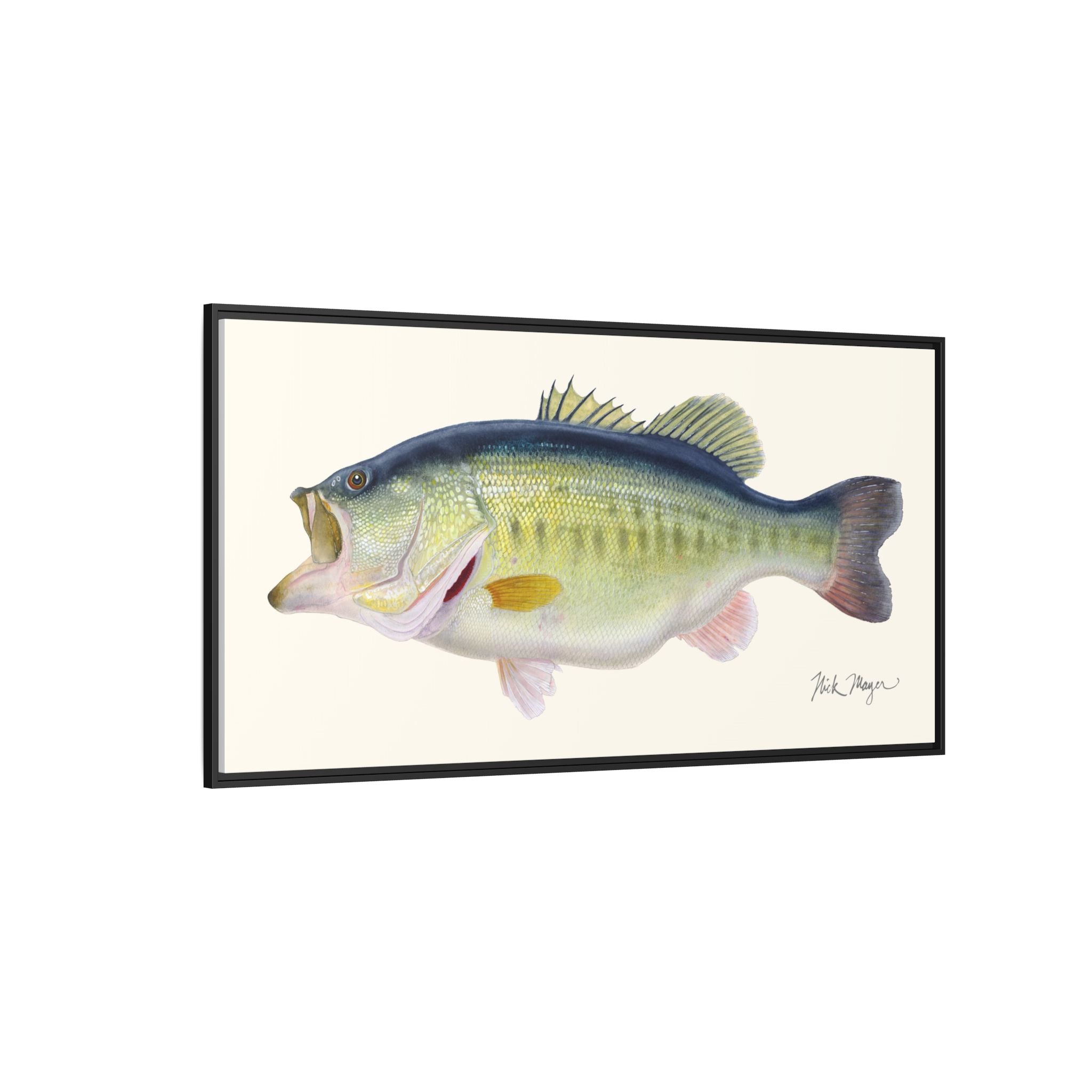 Largemouth Bass 3 Framed Canvas Print