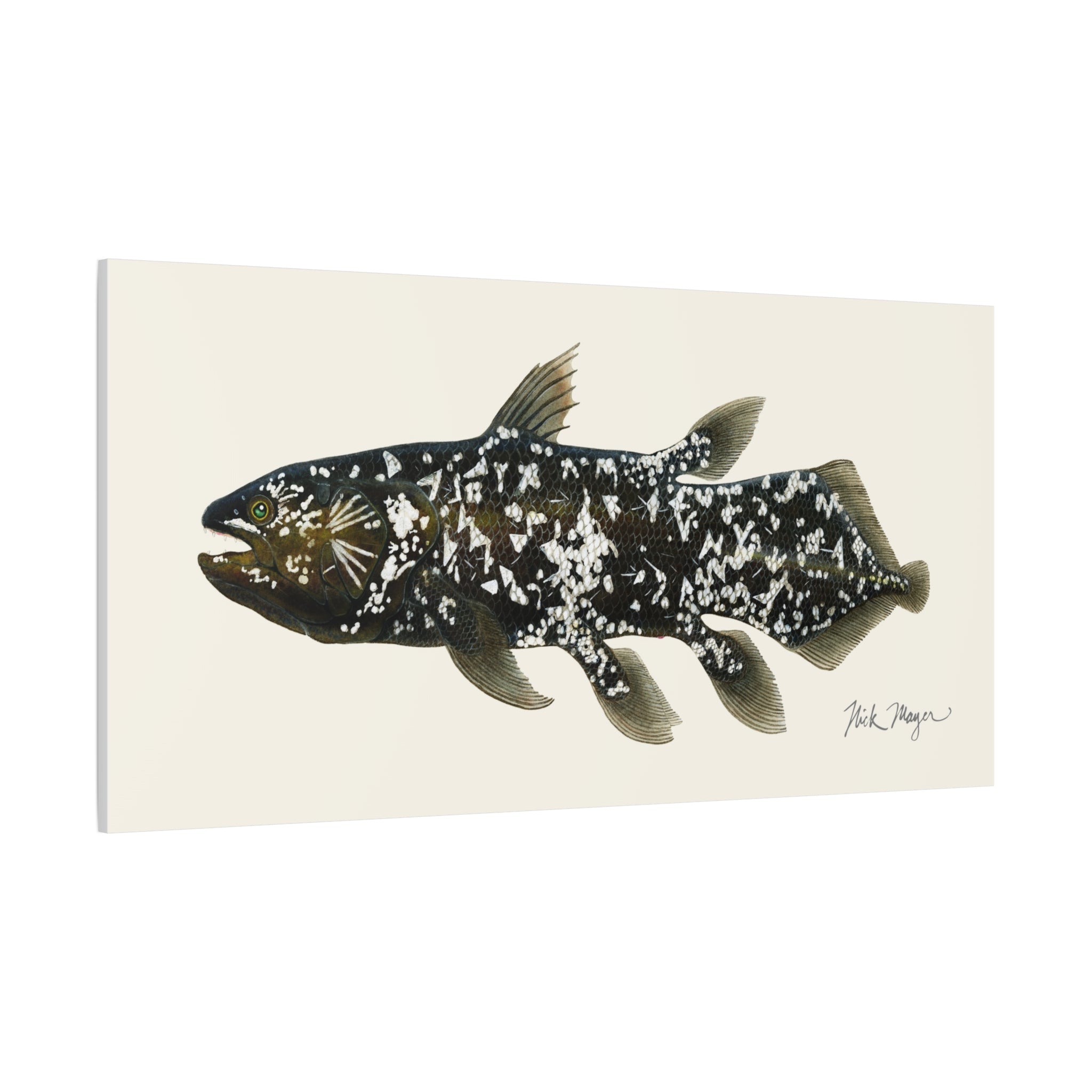 Coelacanth Canvas Print Printify