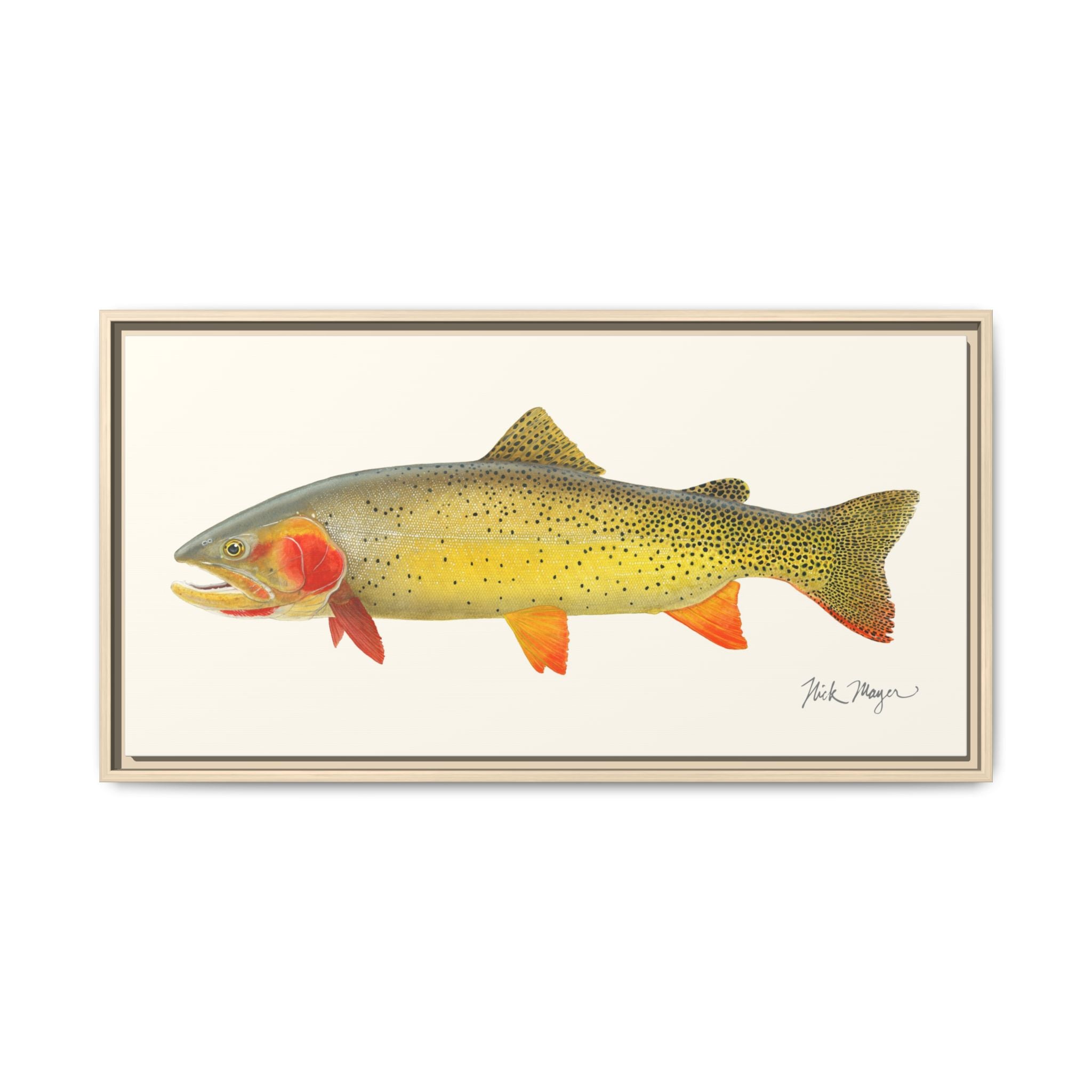 Cutthroat Trout I Framed Canvas Print Printify
