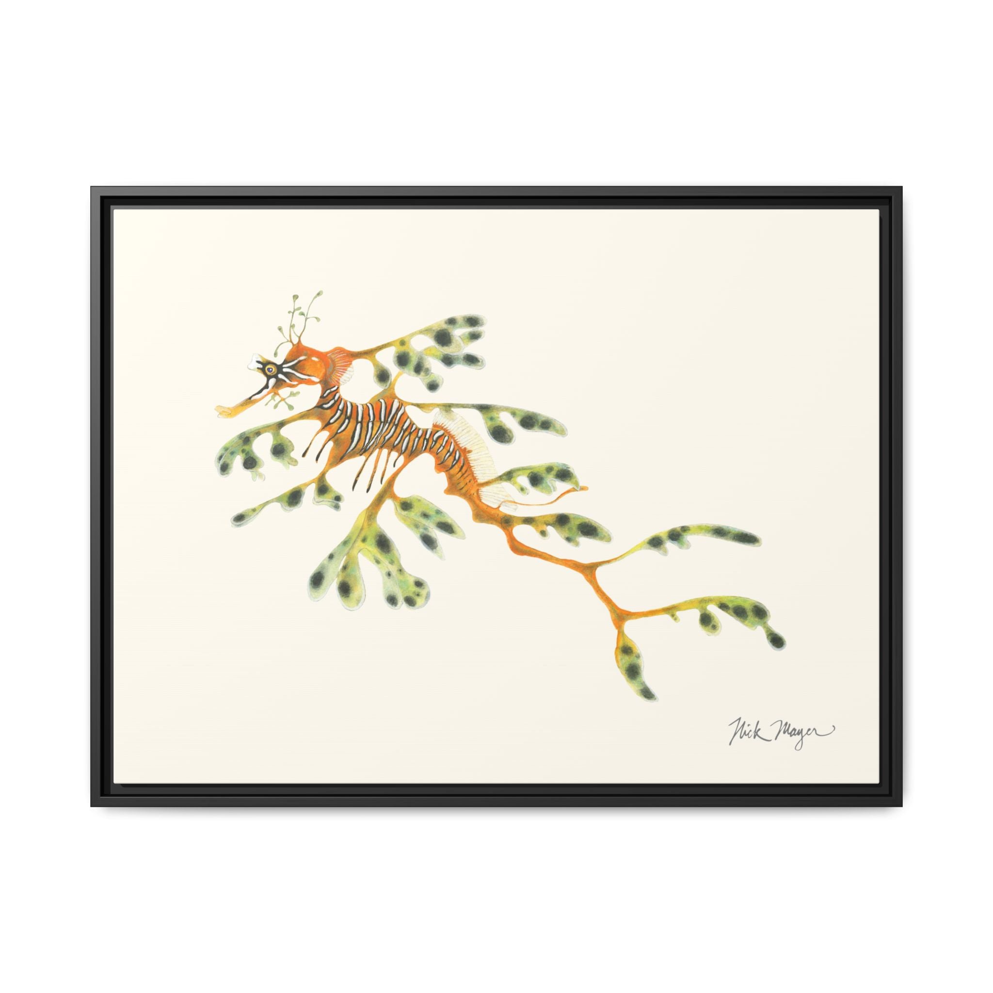 Leafy Sea Dragon Framed Canvas Print Printify
