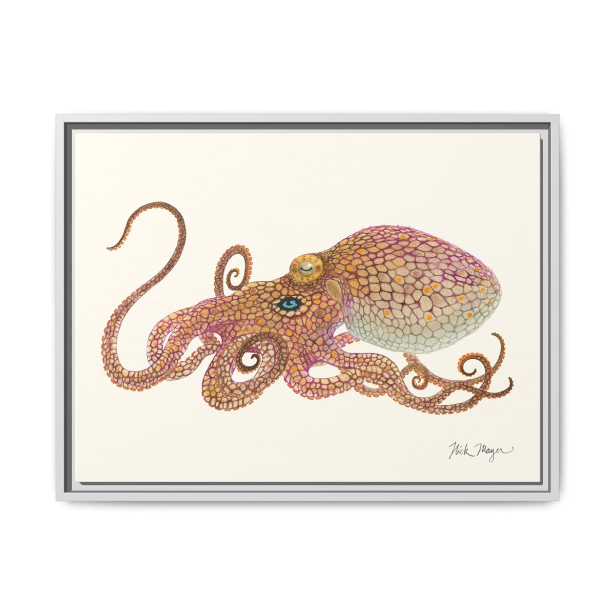 Two Spot Octopus Framed Canvas Print Printify