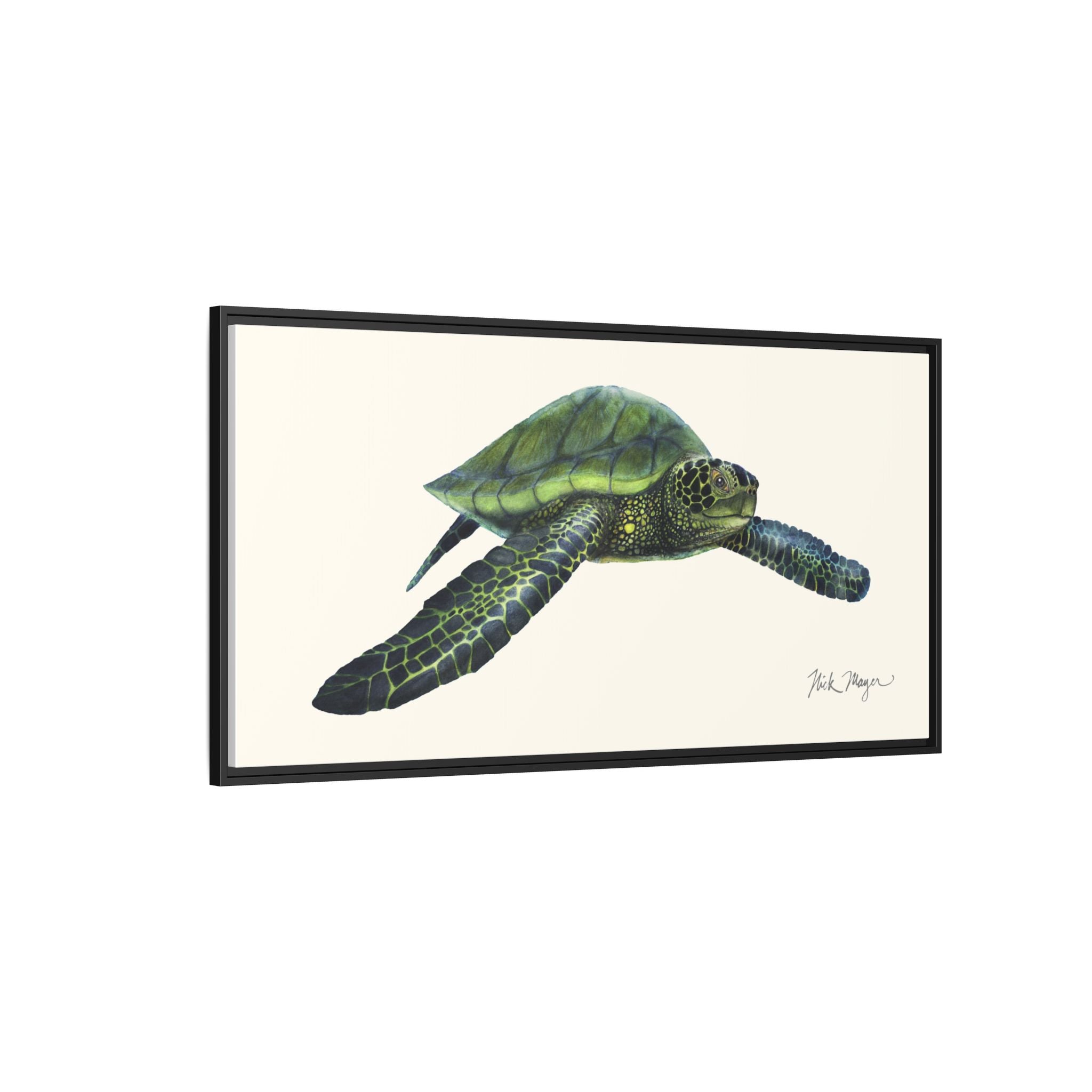 Green Sea Turtle I Framed Canvas Print Printify