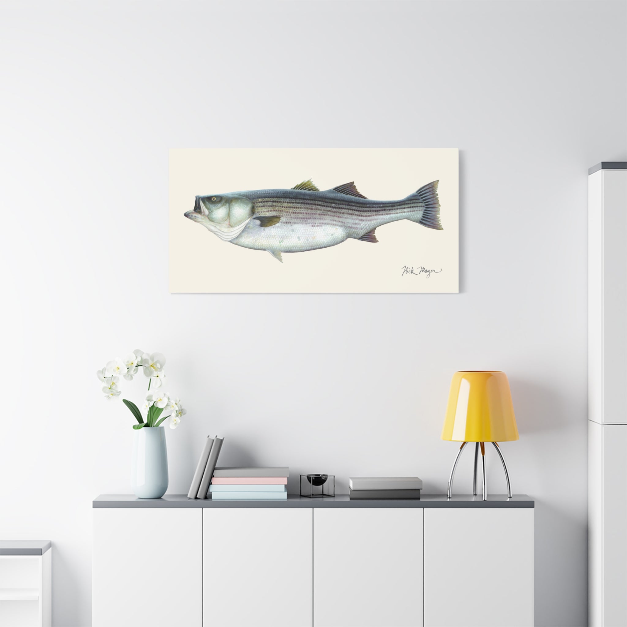 Striped Bass 60 lbs Canvas Print