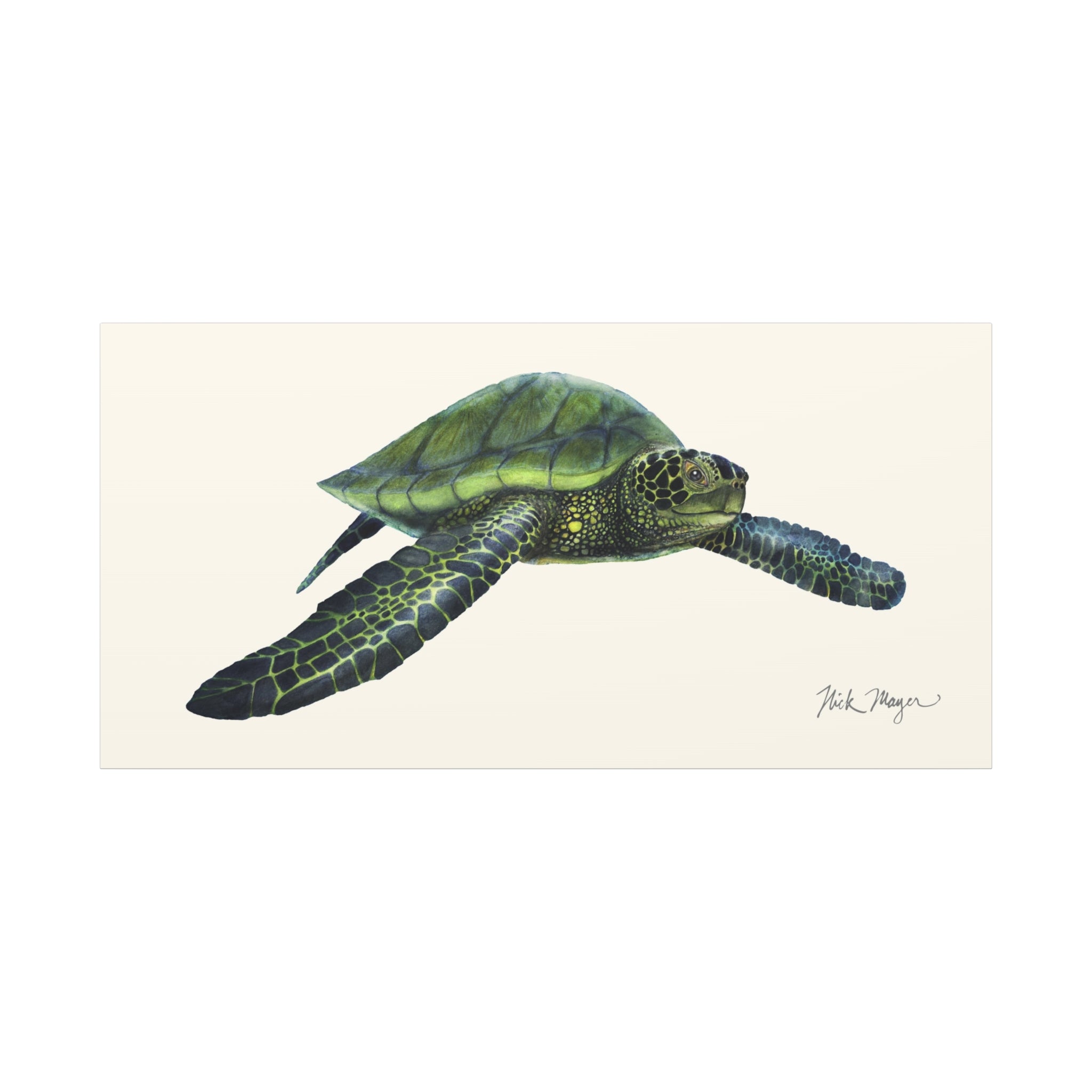 Green Sea Turtle I Canvas Print Printify