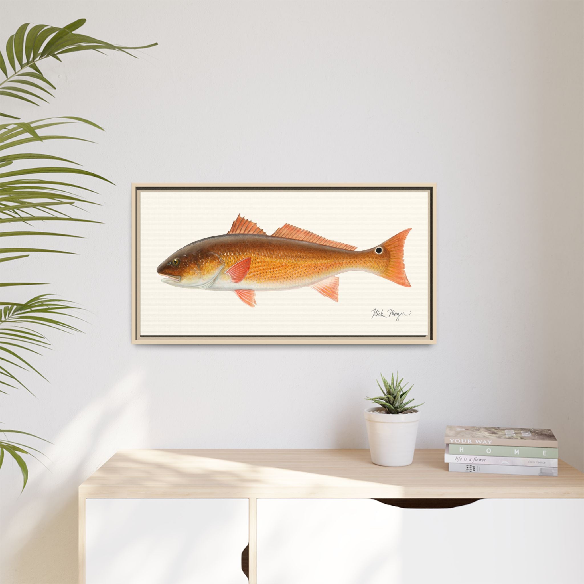 Redfish, 15 lbs Framed Canvas Print Printify