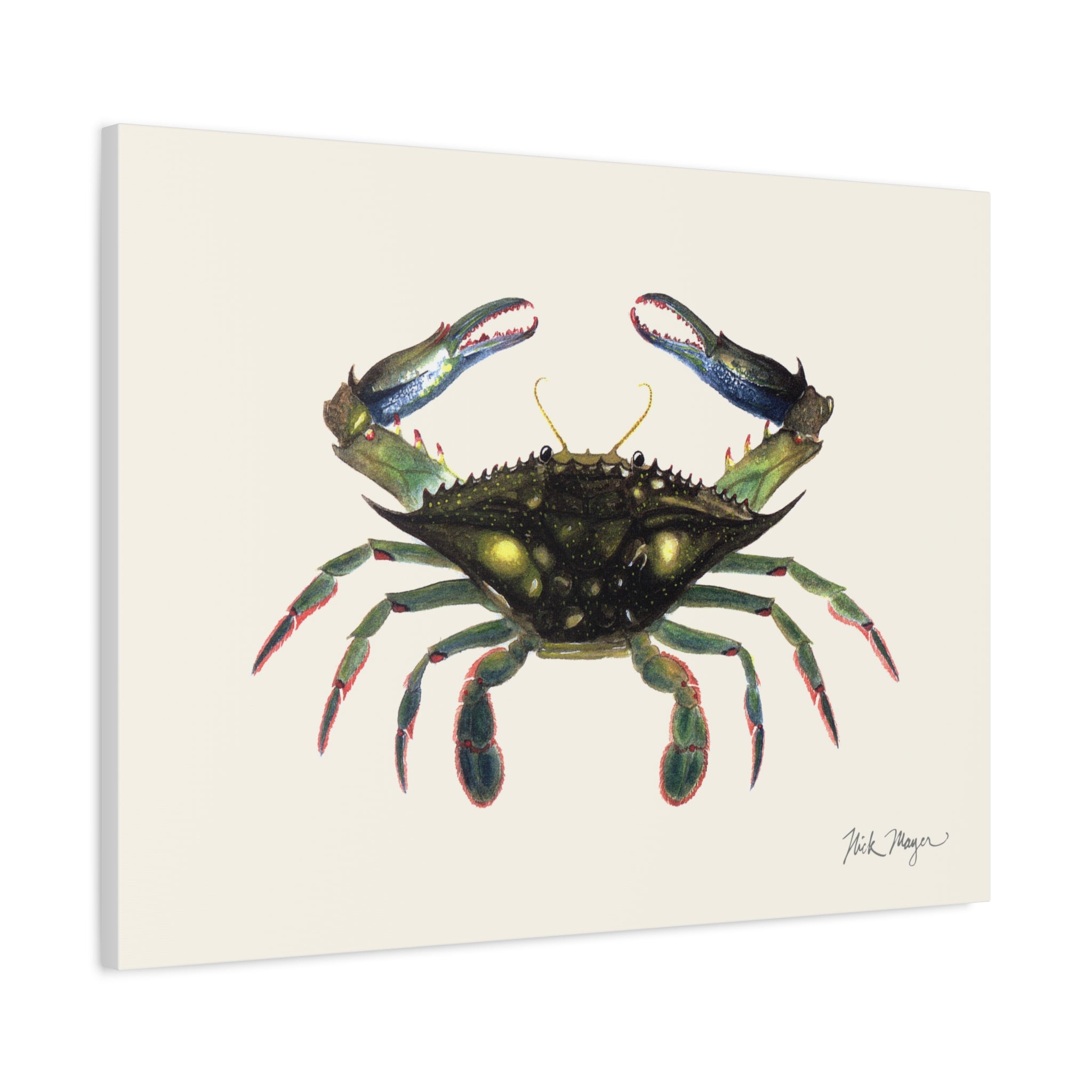 Blue Crab Claws In Canvas Print