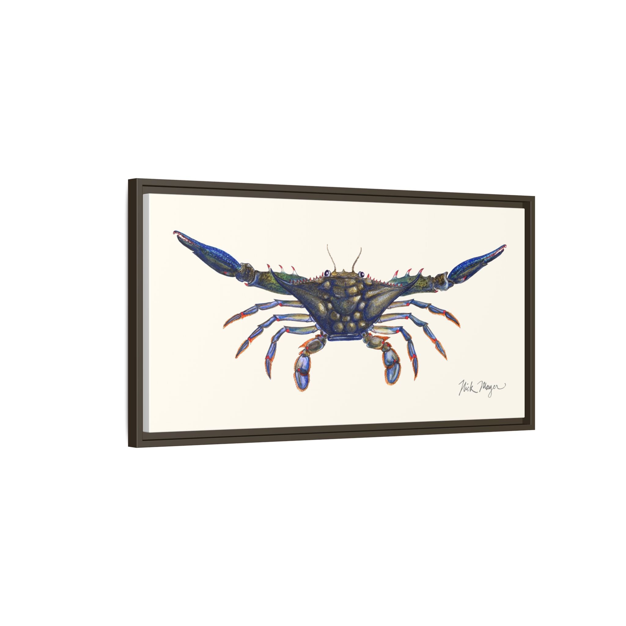 Blue Crab, Claws Out Framed Canvas Print Printify