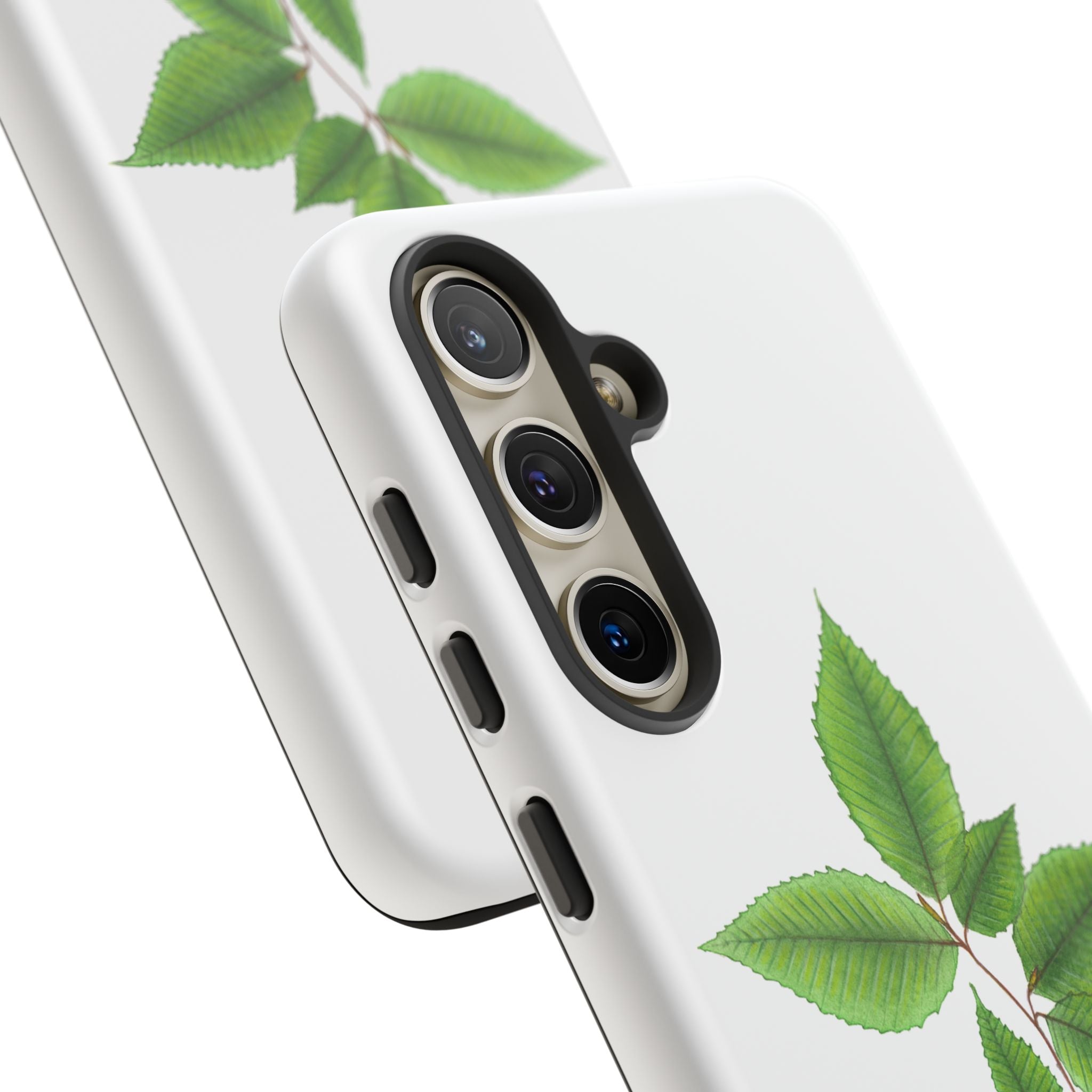 American Beech Phone Case (Samsung)