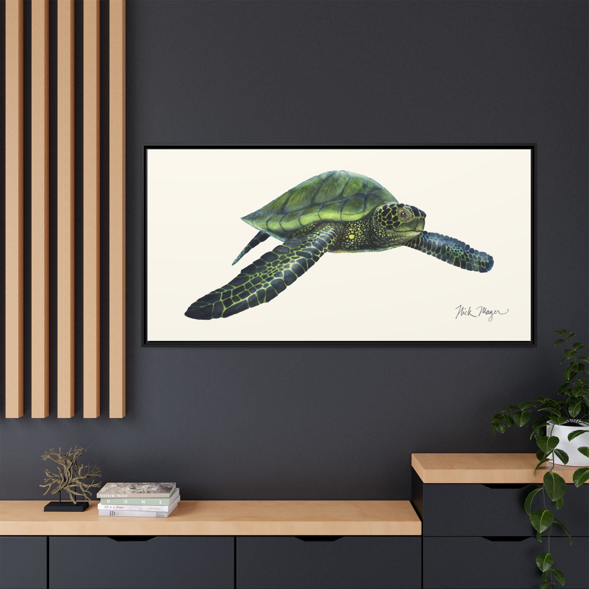 Green Sea Turtle I Framed Canvas Print Printify