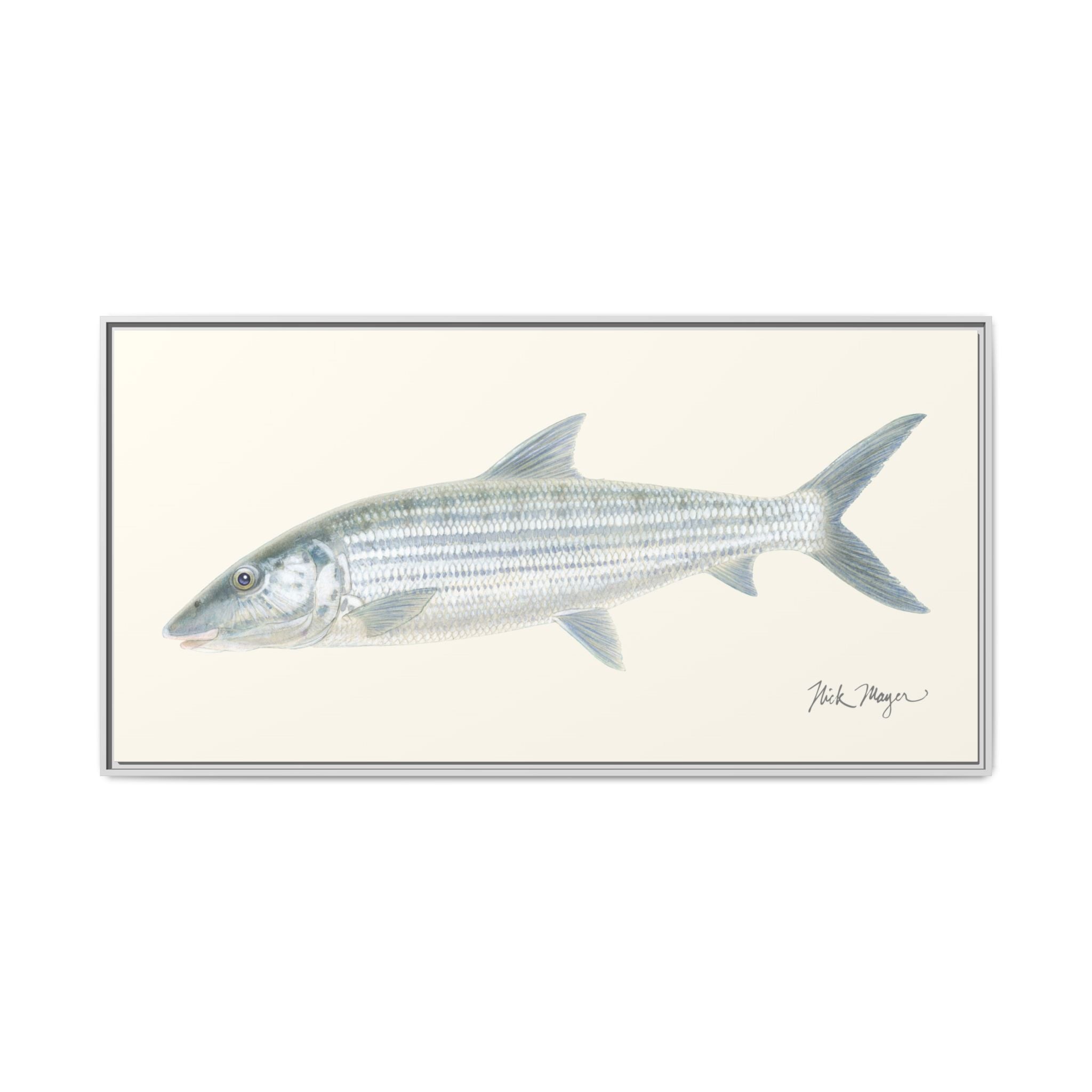 Bonefish Framed Canvas Print Printify