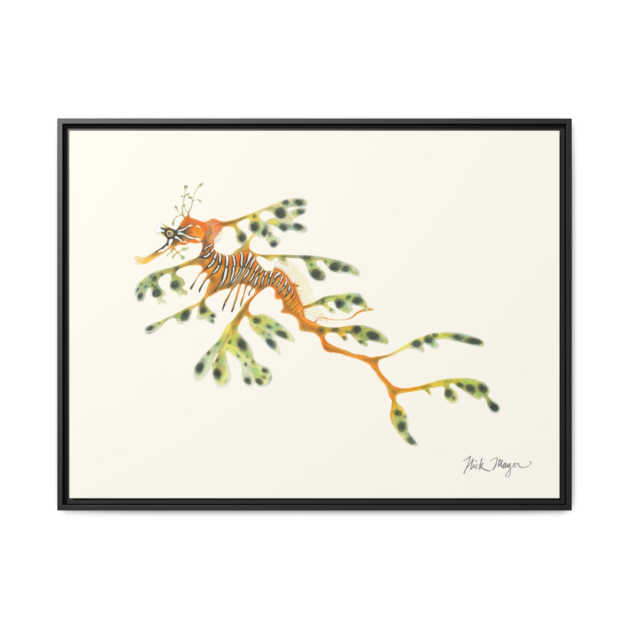 Leafy Sea Dragon Framed Canvas Print Printify