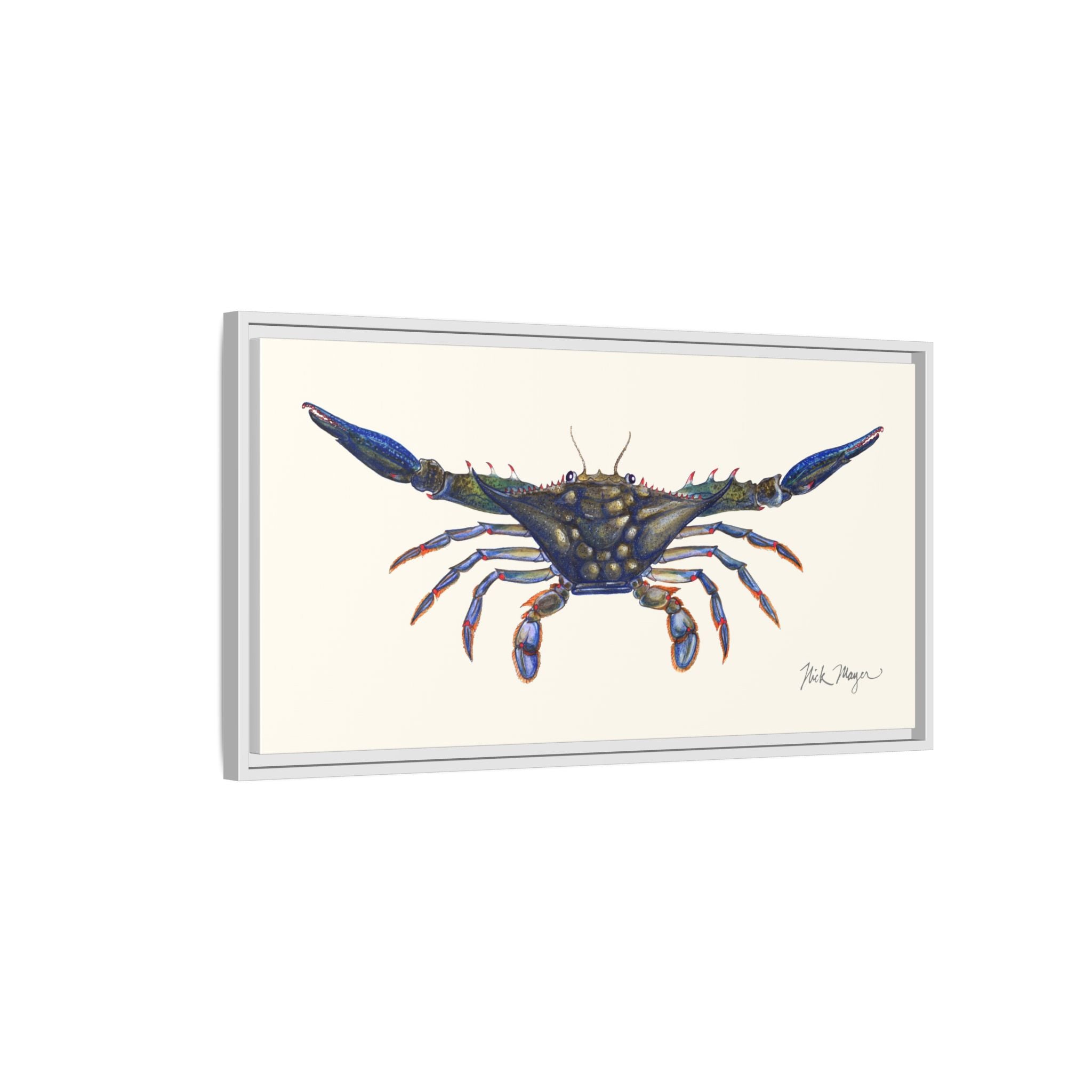 Blue Crab, Claws Out Framed Canvas Print Printify