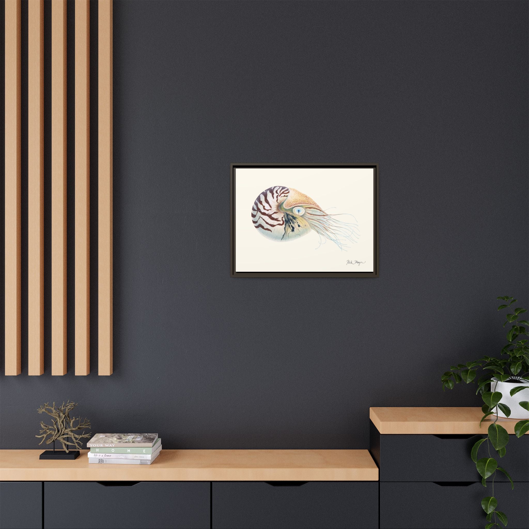 Chambered Nautilus Framed Canvas Print Printify