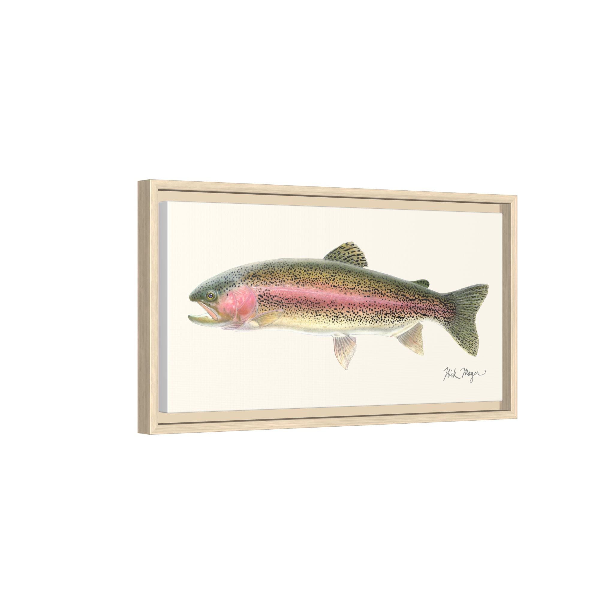 Rainbow Trout Framed Canvas Print Printify