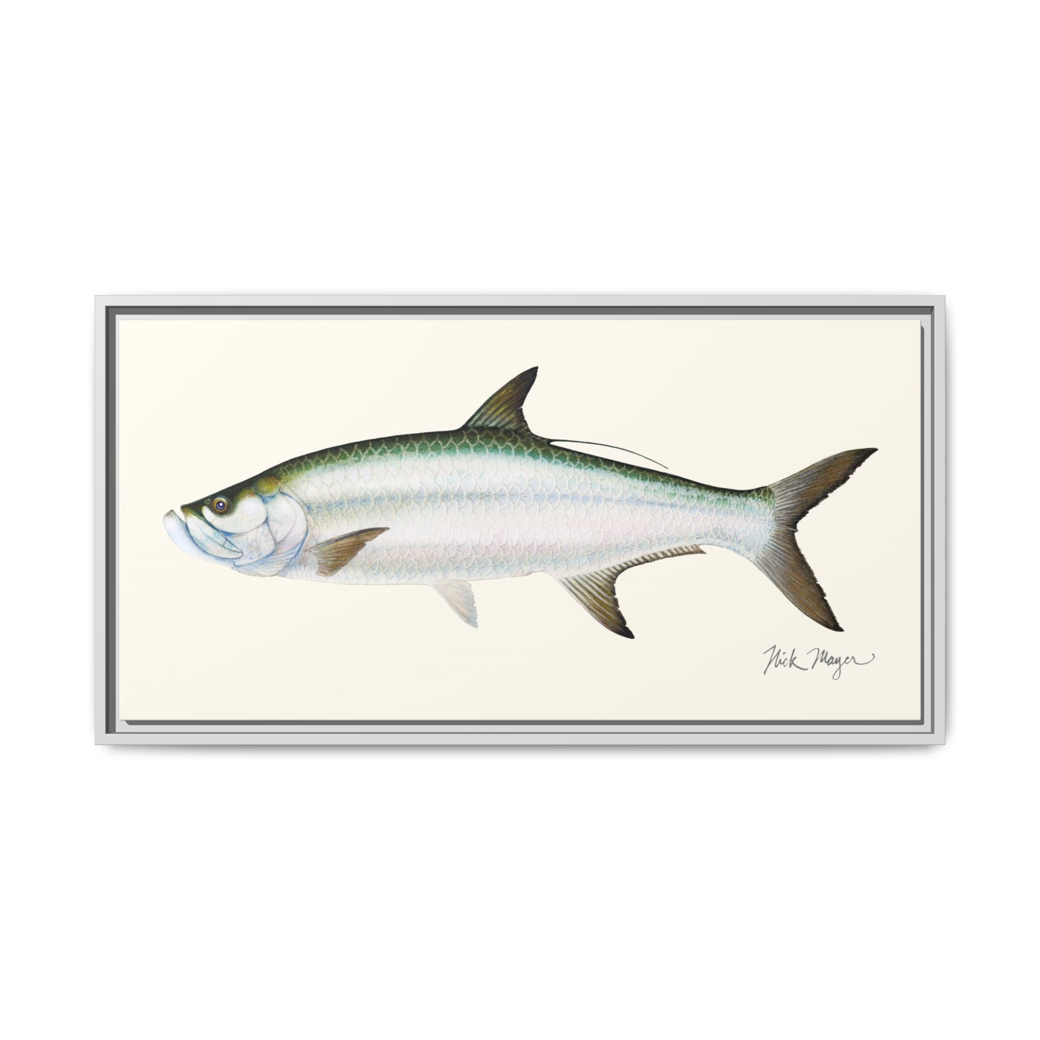 Tarpon Framed Canvas Print Printify