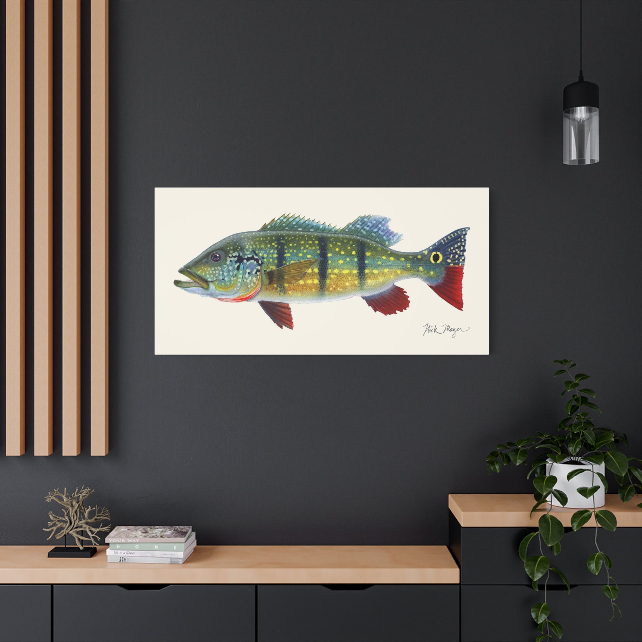 Peacock Bass Canvas Print
