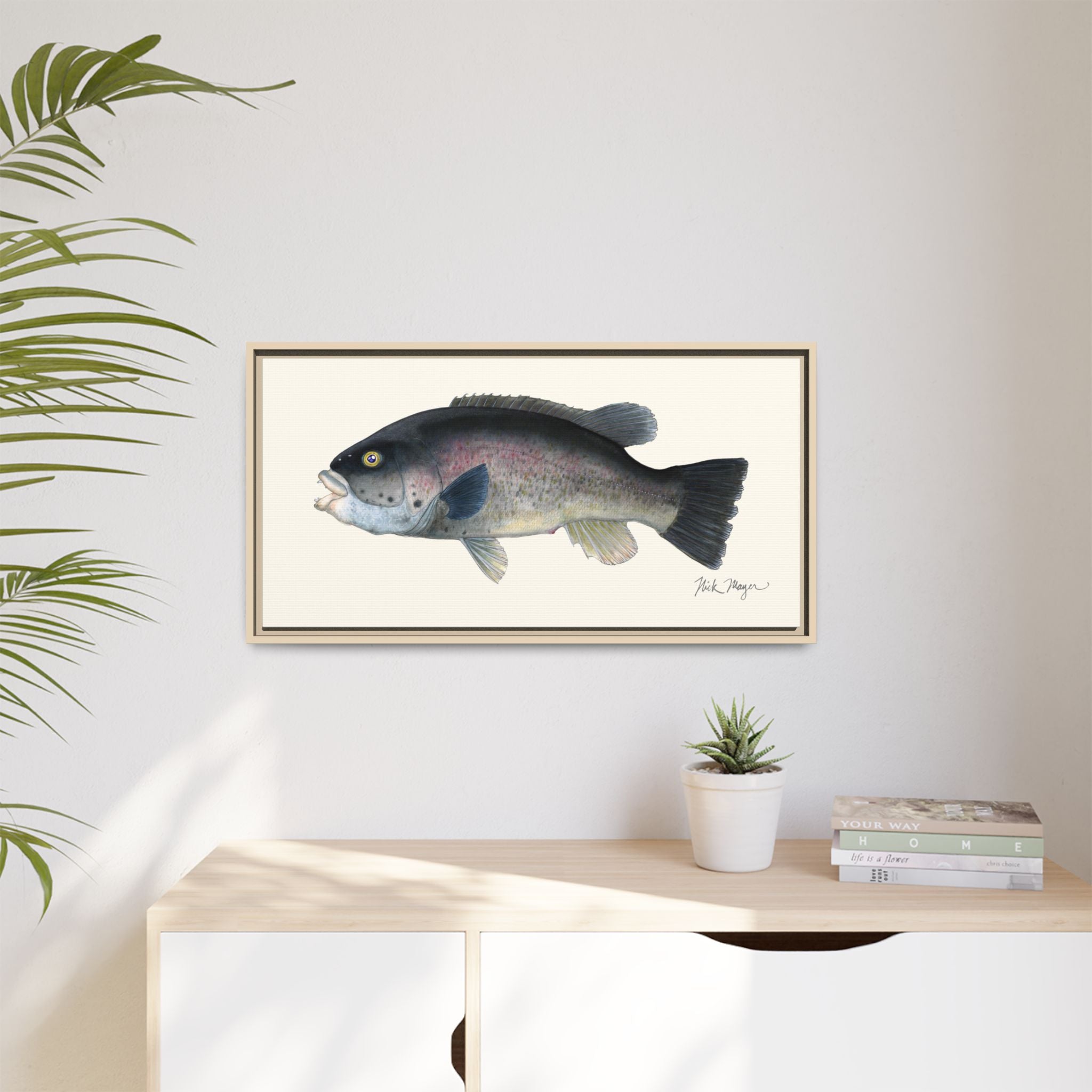 Tautog / Blackfish Framed Canvas Print Printify