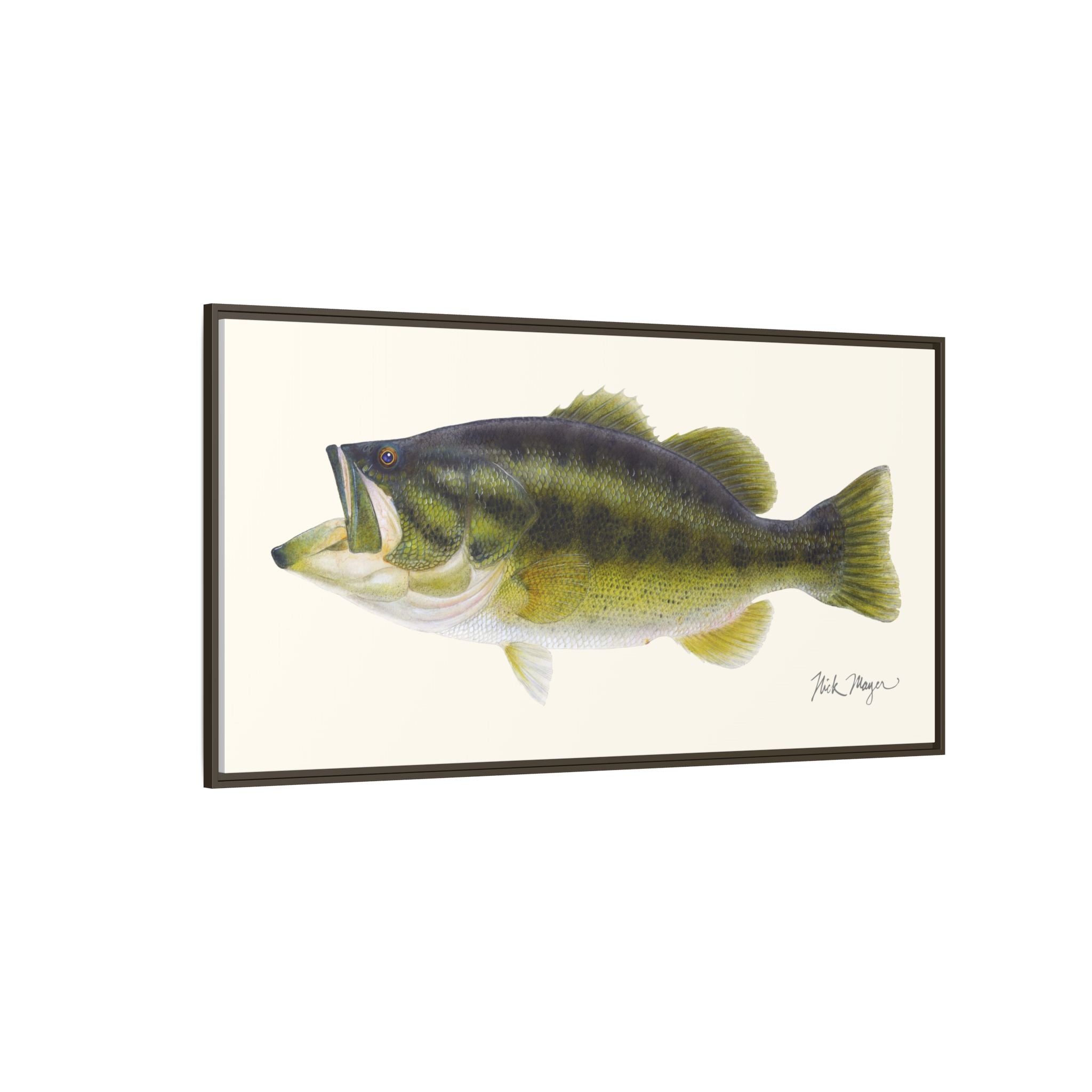Largemouth Bass I Framed Canvas Print Printify