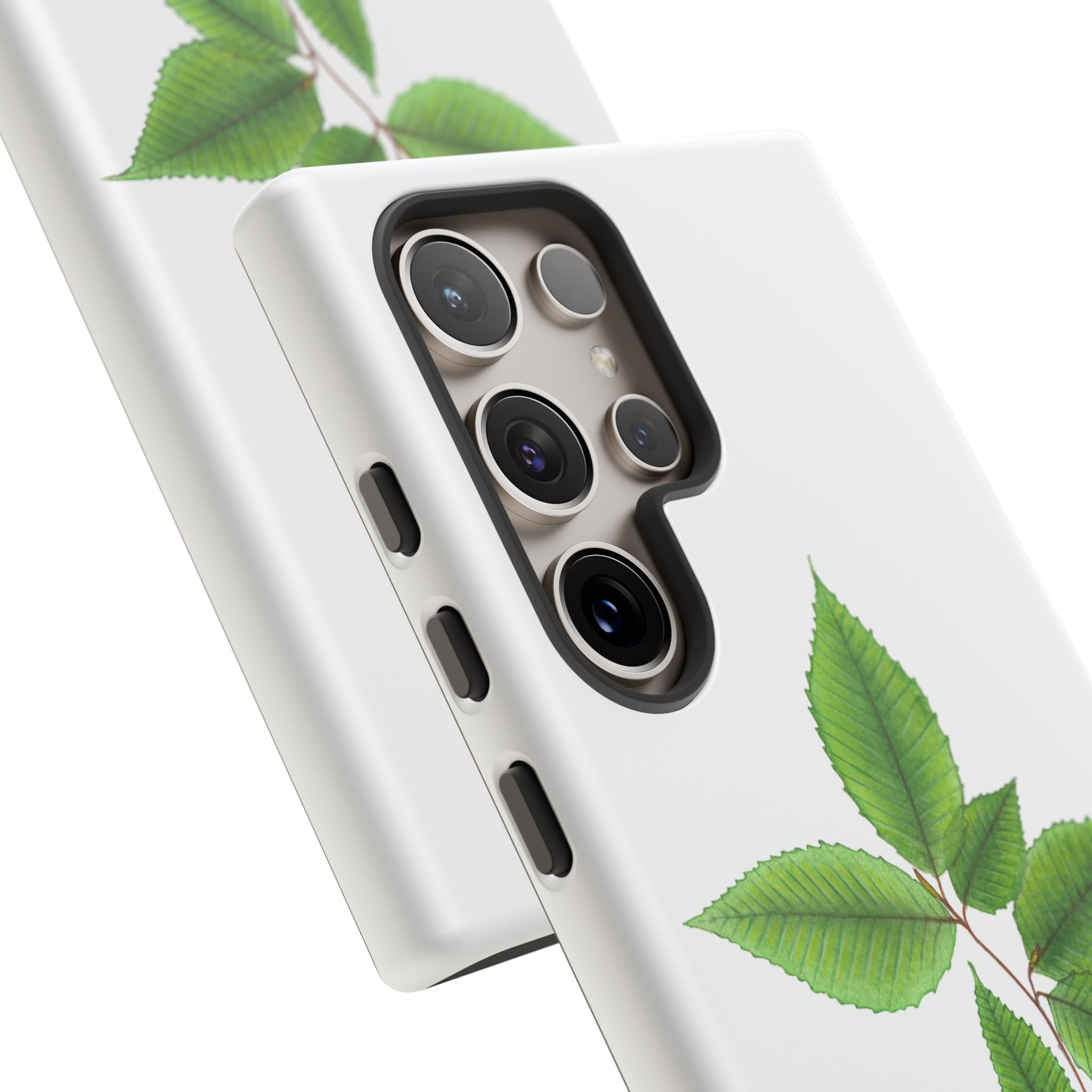 American Beech Phone Case (Samsung)