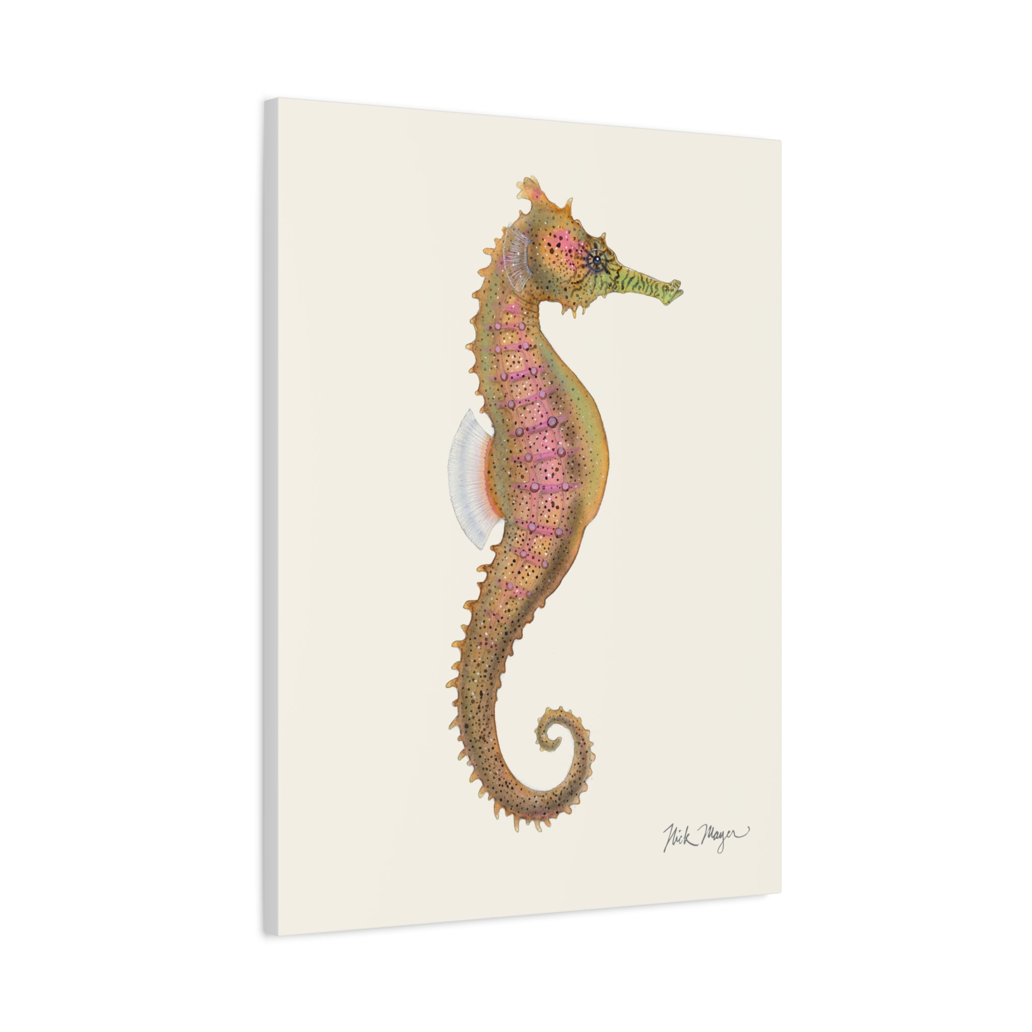 Estuary Seahorse Canvas Print