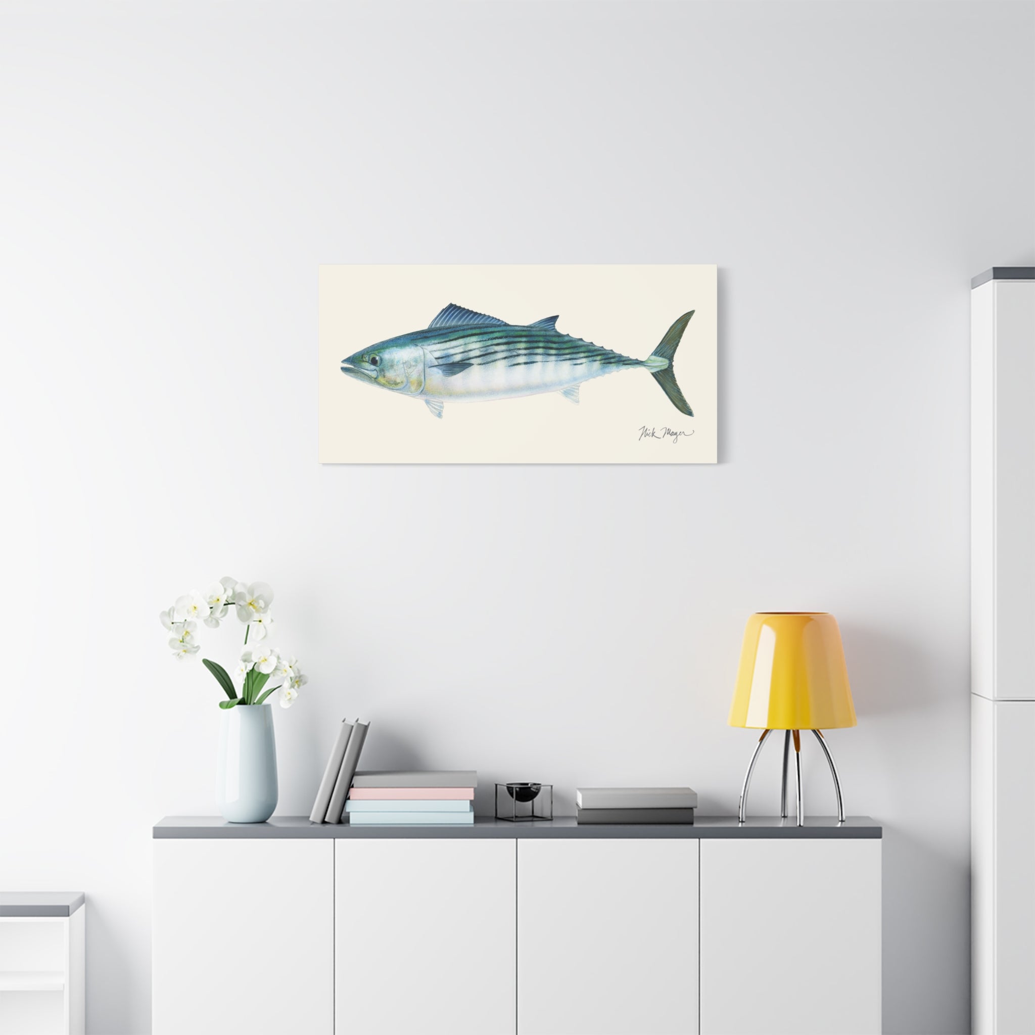 Bonito Canvas Print