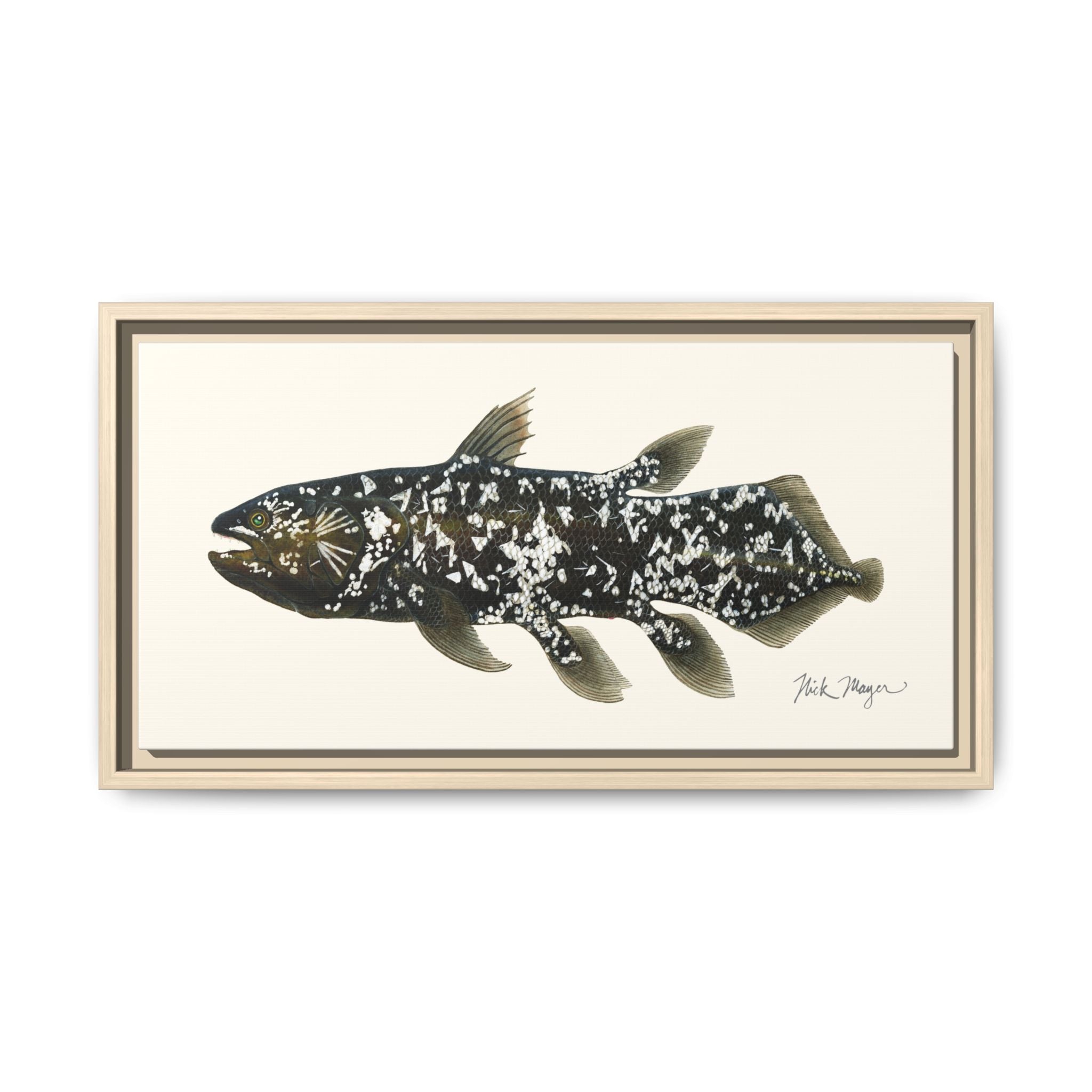 Coelacanth Framed Canvas Print Printify